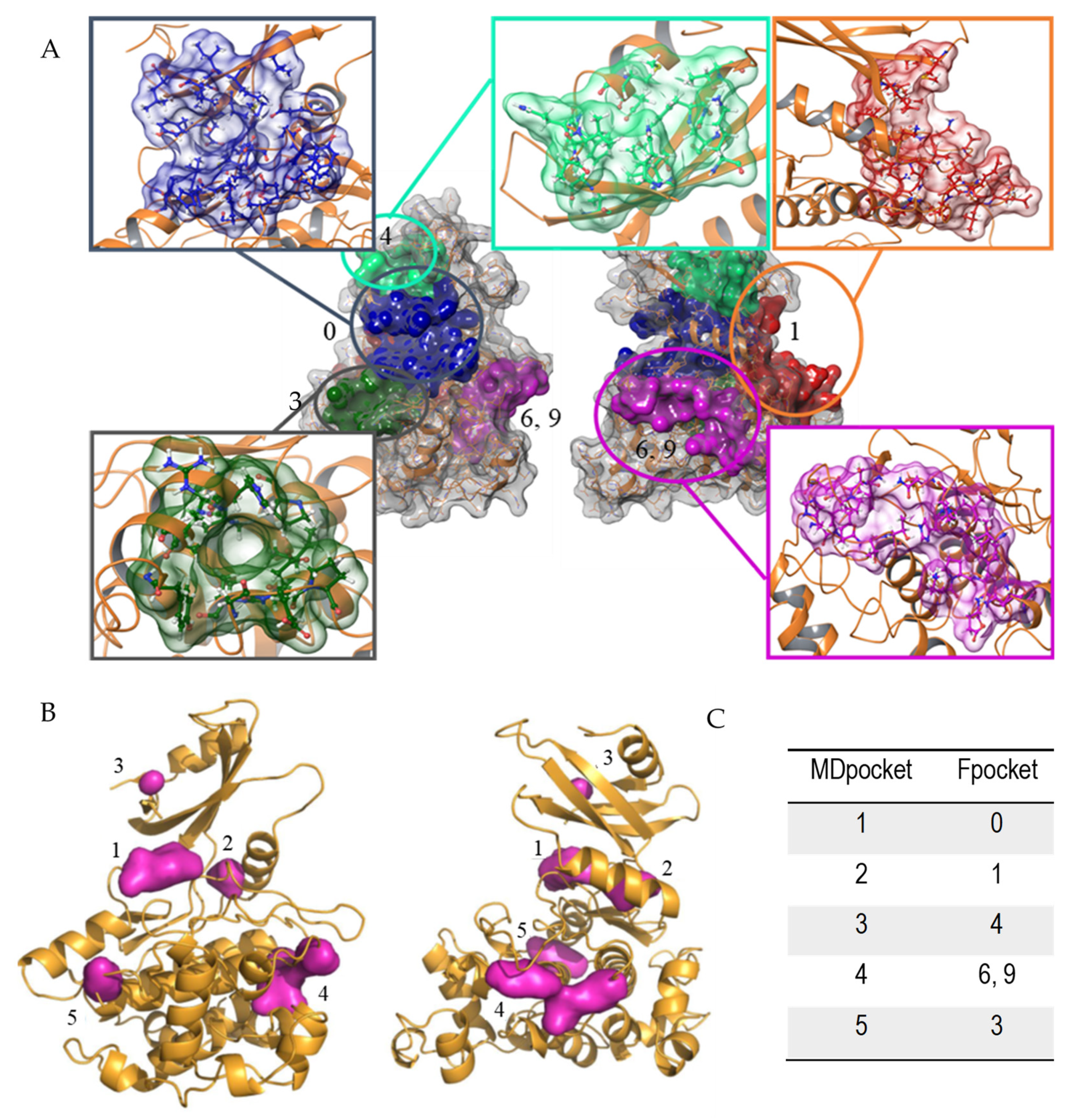Biomedicines 10 01136 g001