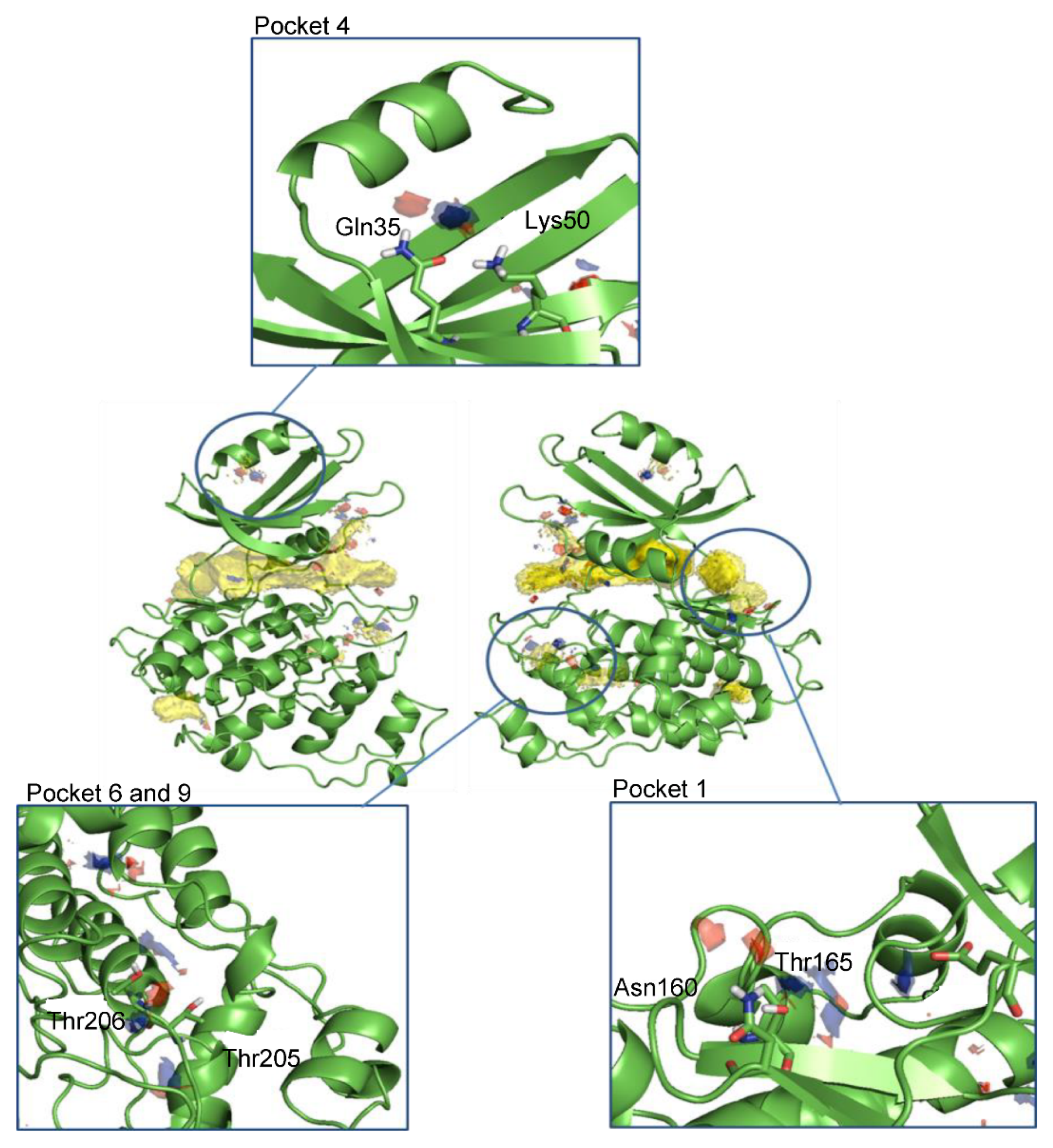 Biomedicines 10 01136 g002