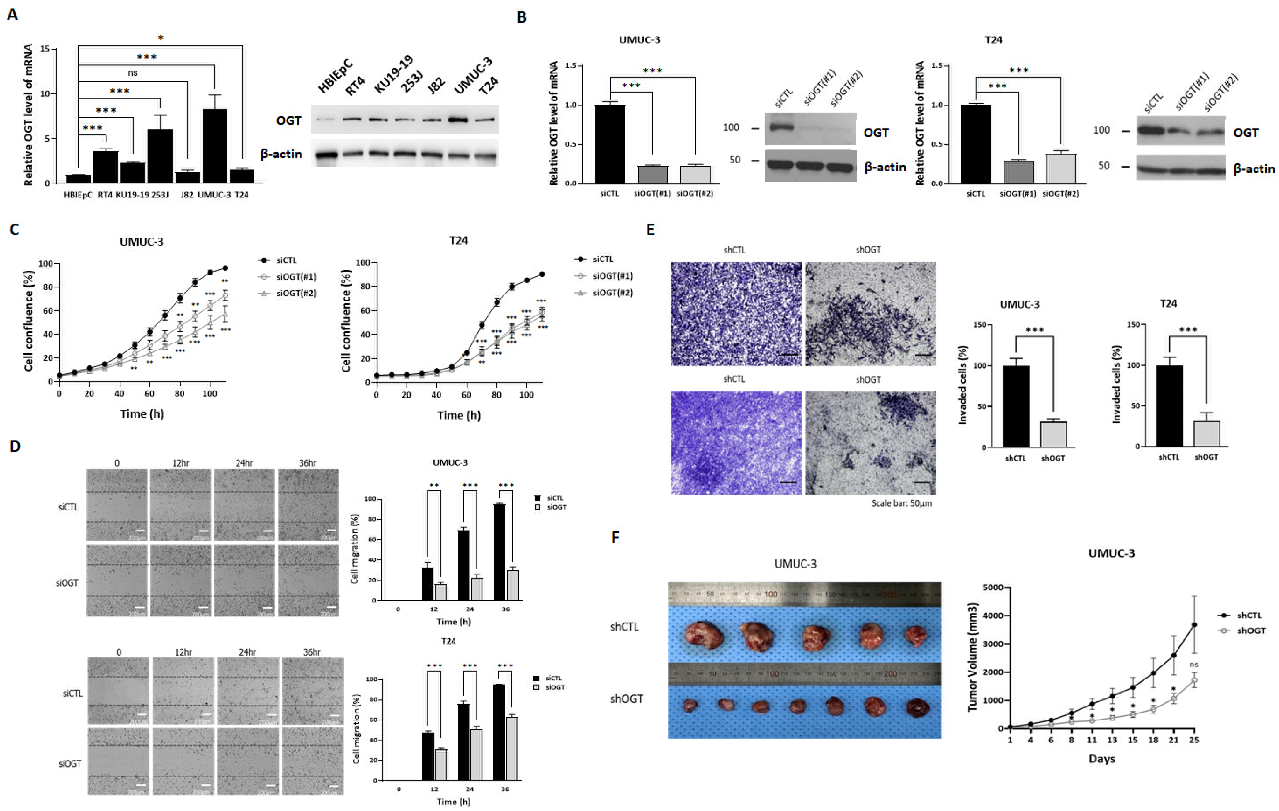 Biomedicines 10 01162 g001