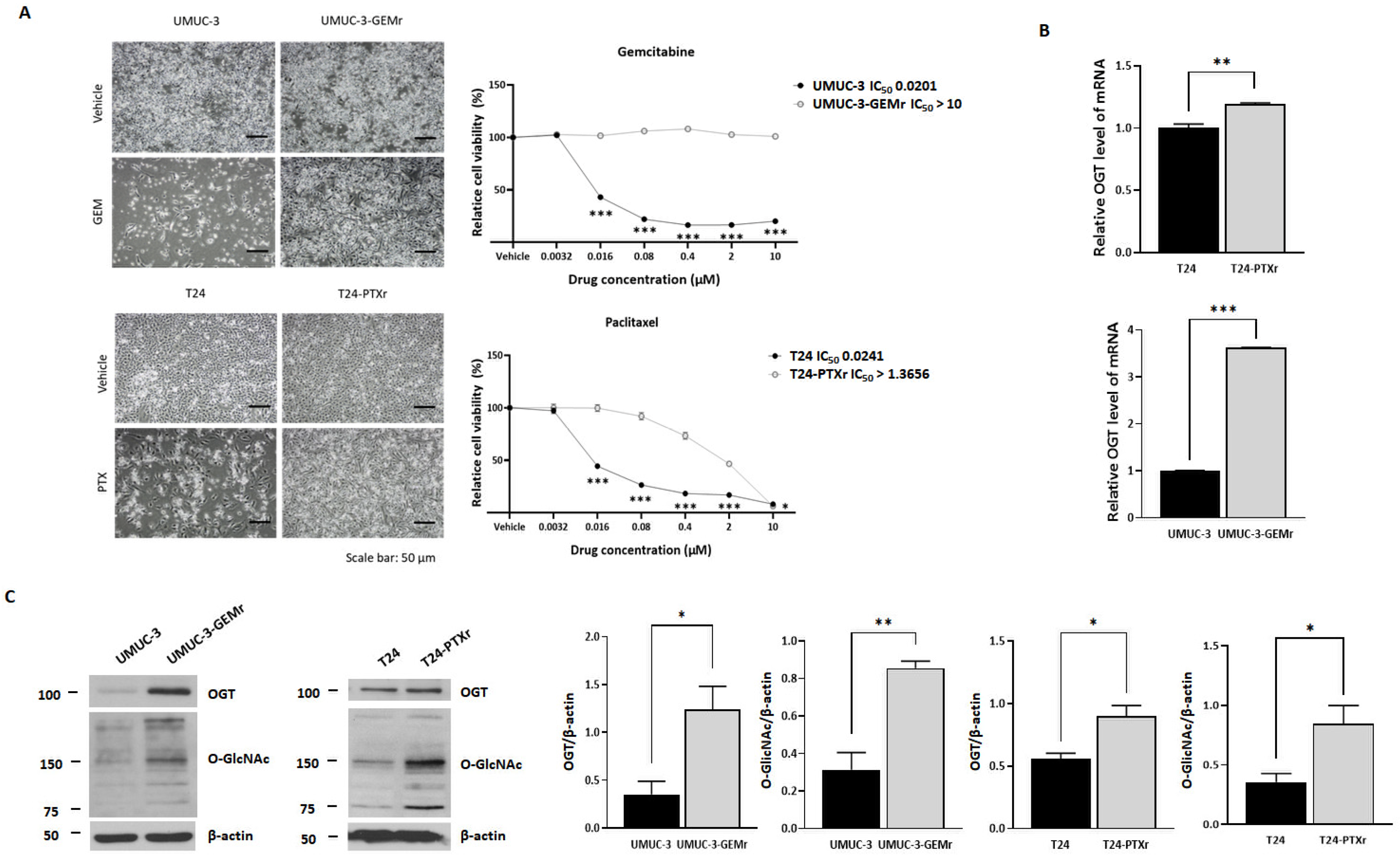 Biomedicines 10 01162 g002