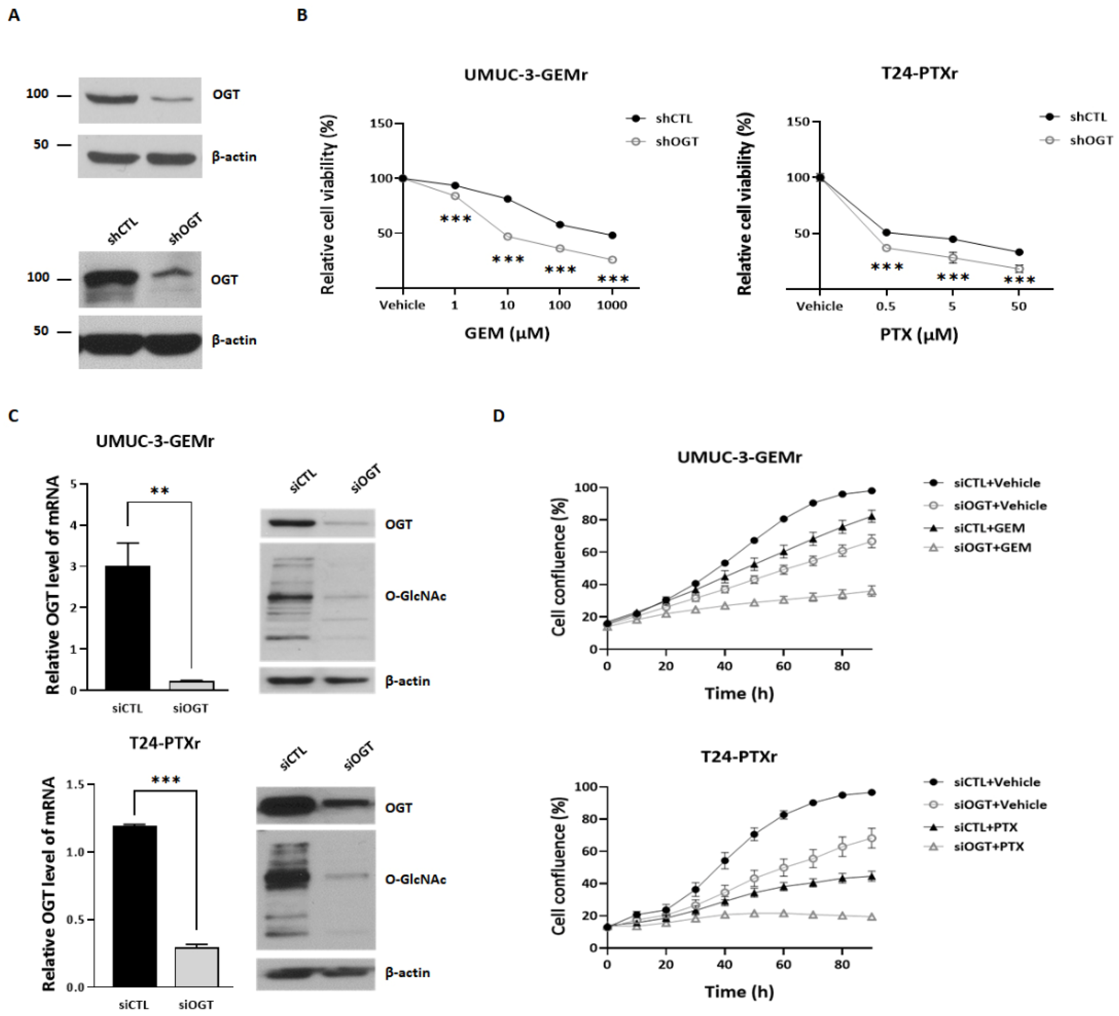 Biomedicines 10 01162 g003