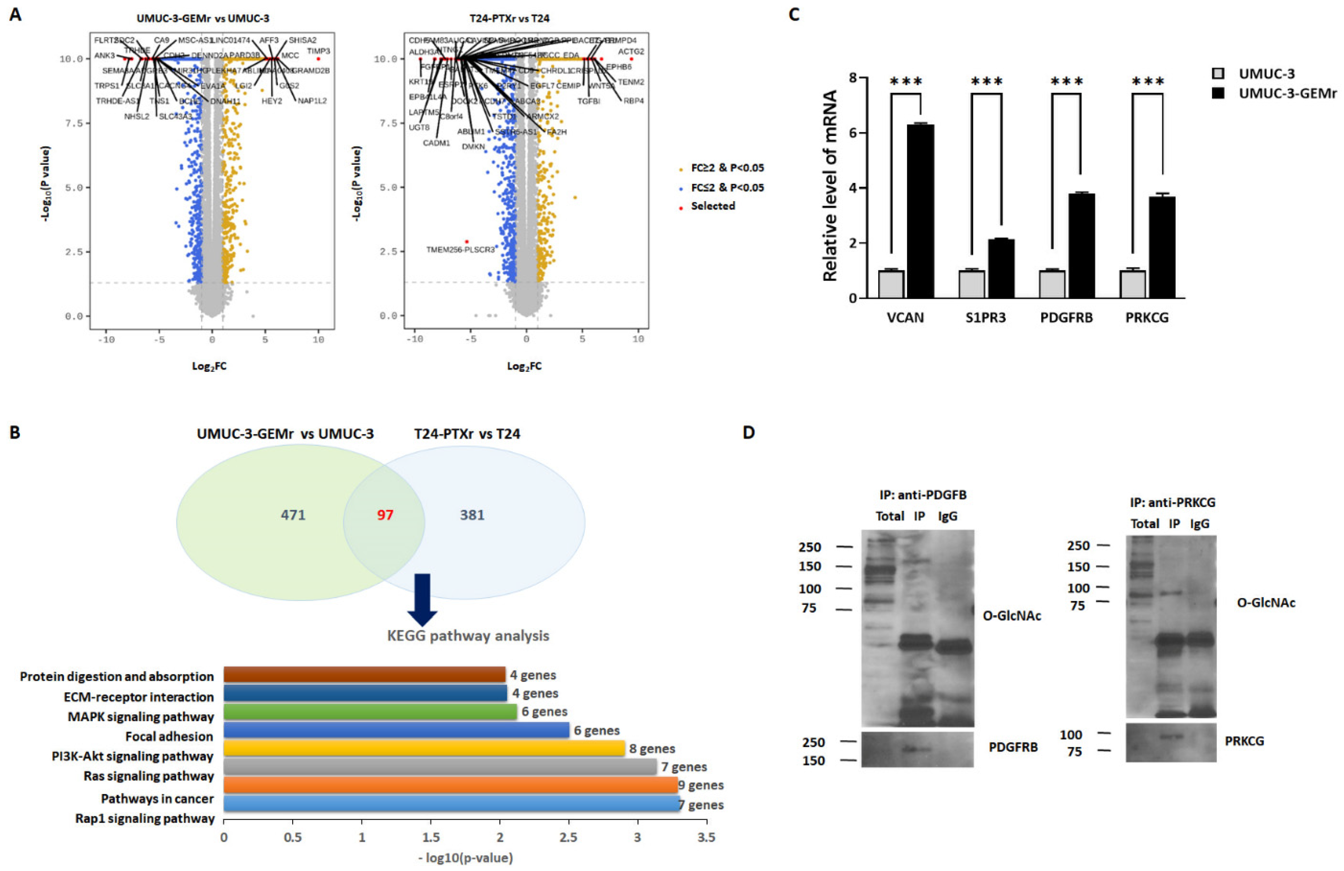Biomedicines 10 01162 g005a