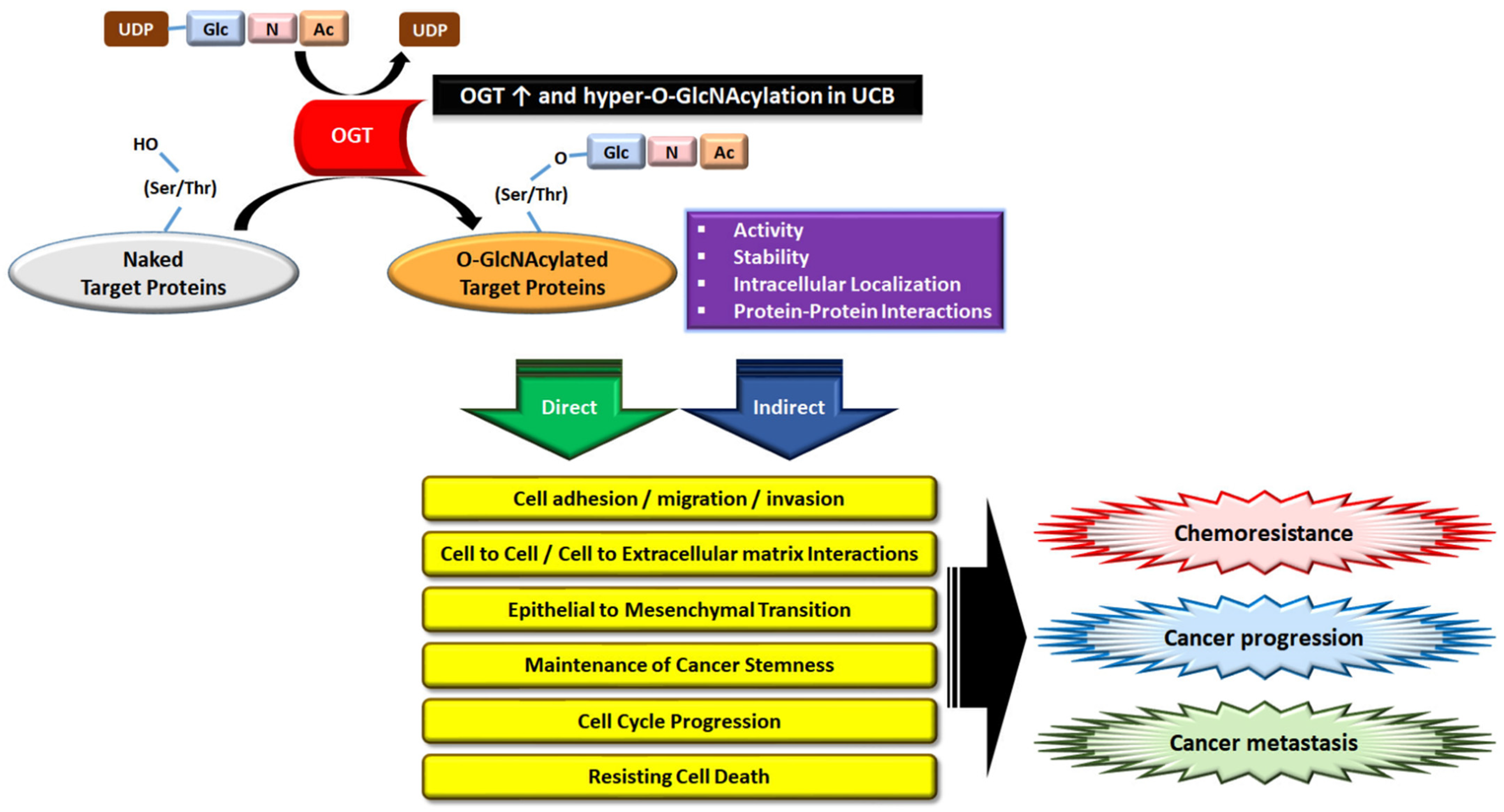 Biomedicines 10 01162 g006