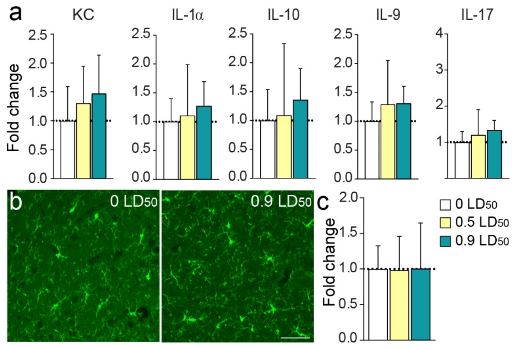 Biomedicines 10 01167 g004 Biomedicines 10 01167 g004