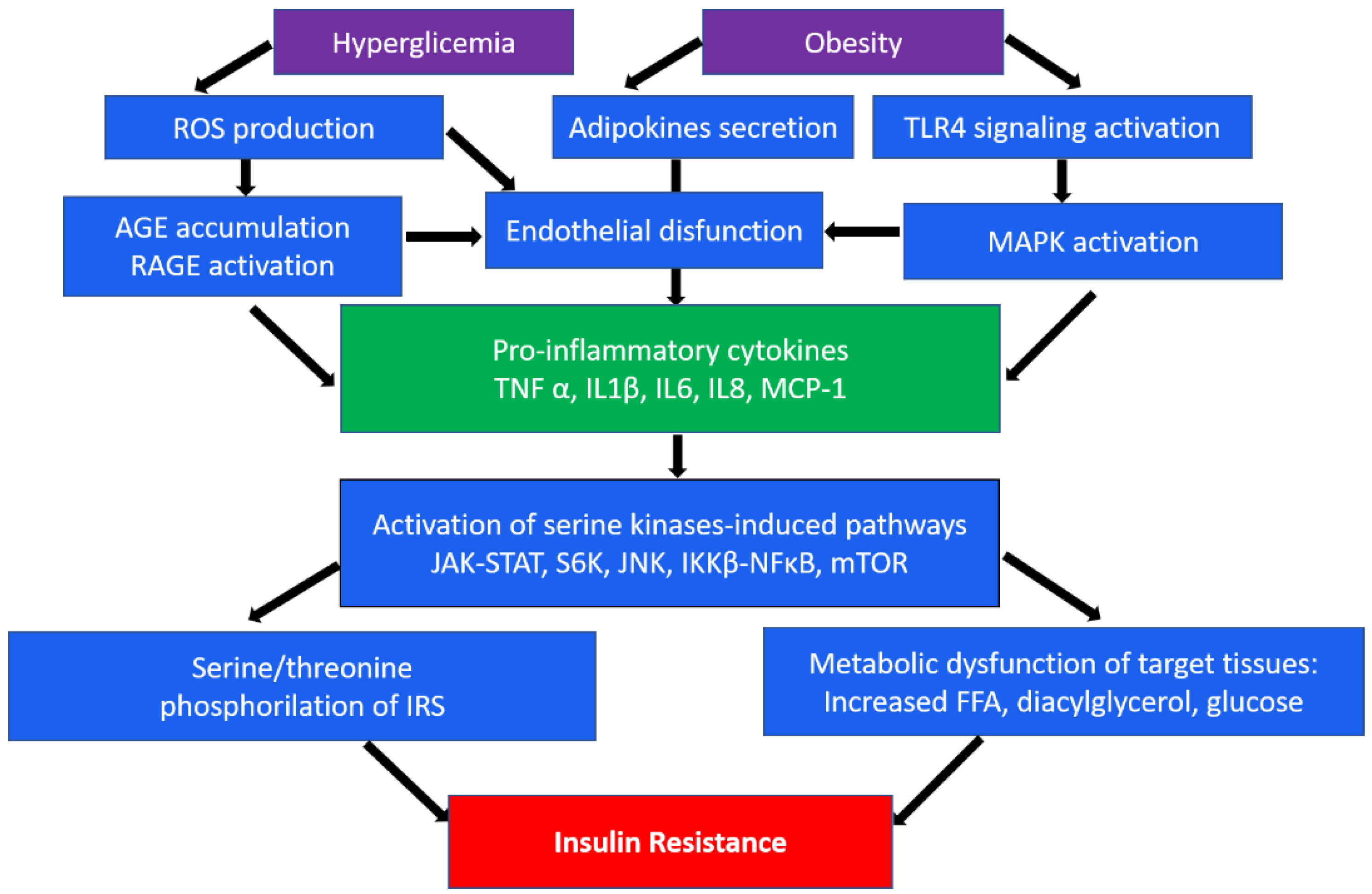 Biomedicines 10 01168 g001