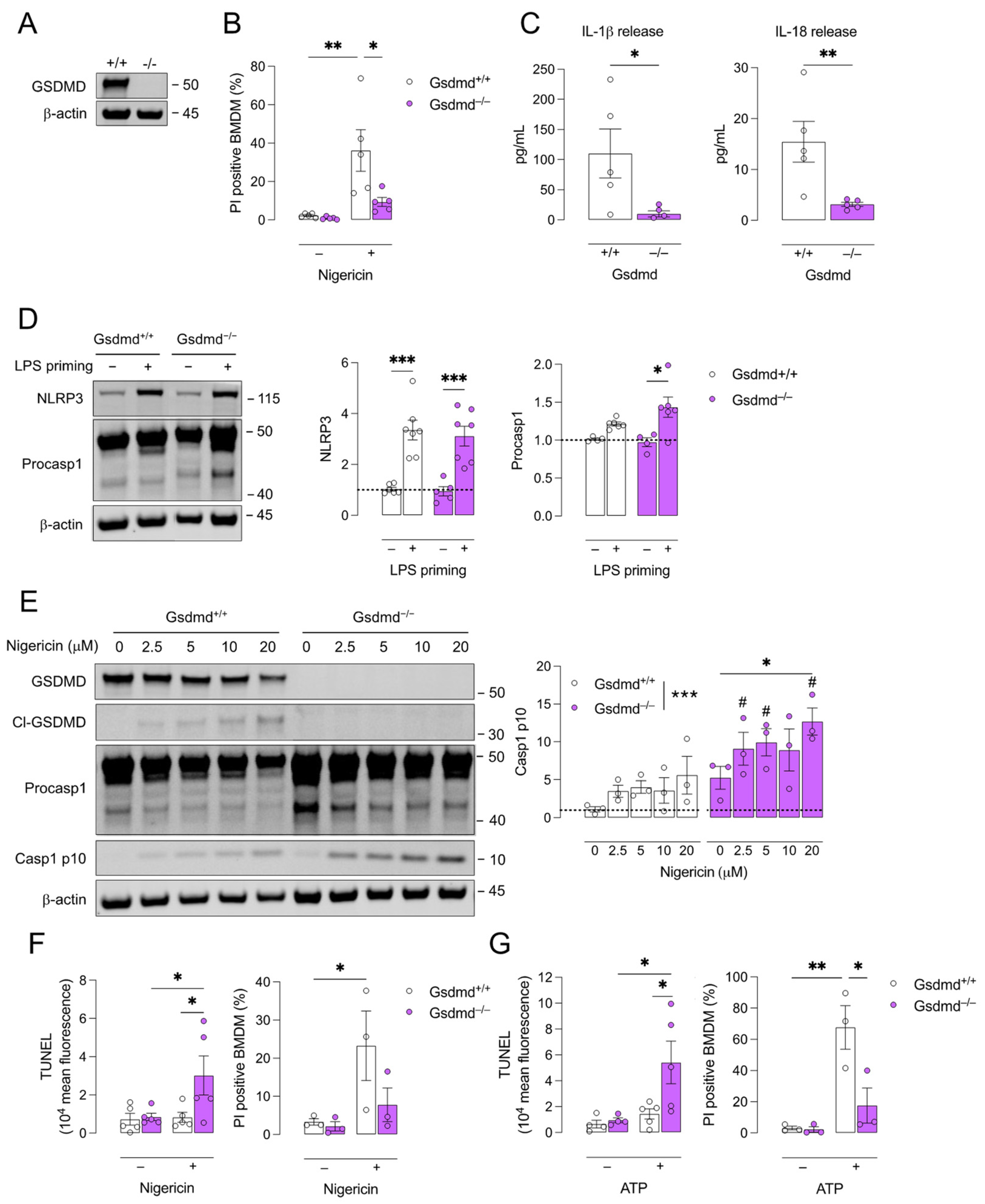 Biomedicines 10 01171 g001 Biomedicines 10 01171 g001