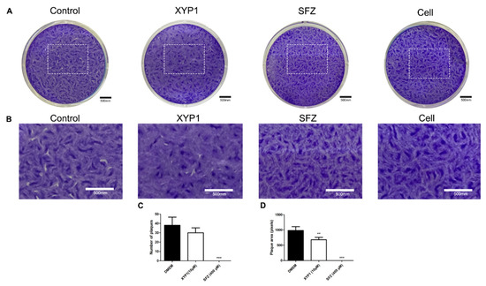 Biomedicines 10 01176 i001 550