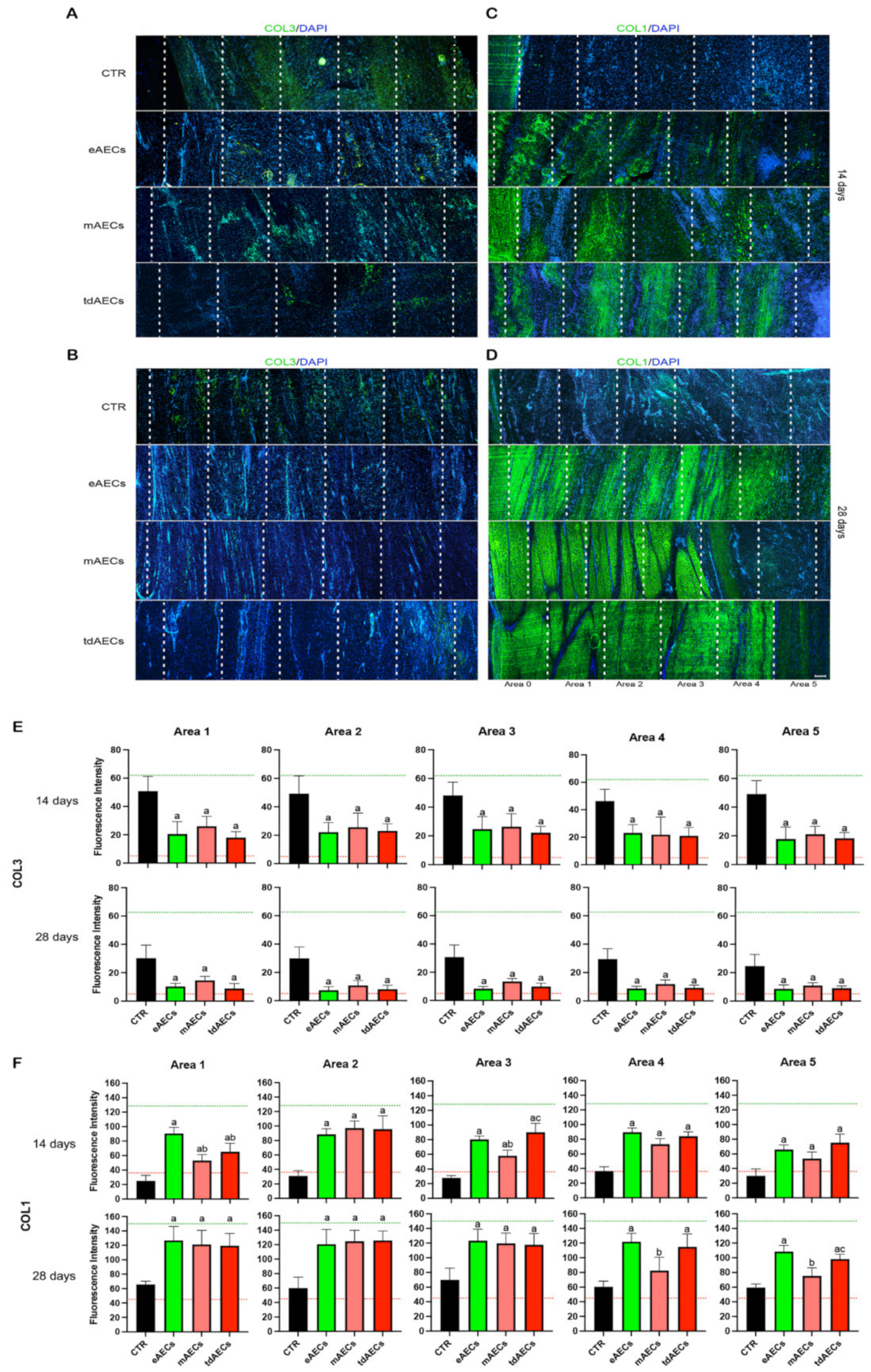 Biomedicines 10 01177 g005 Biomedicines 10 01177 g005
