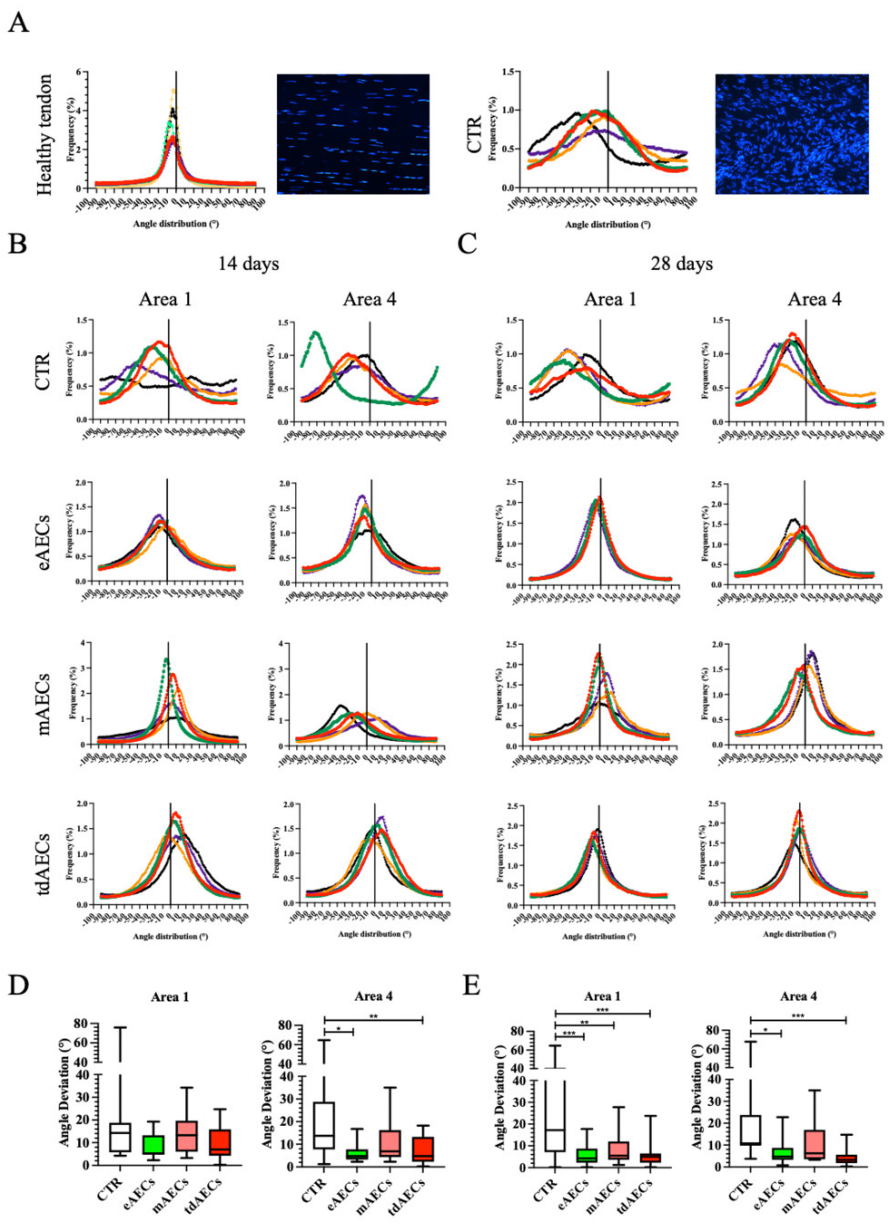 Biomedicines 10 01177 g008 Biomedicines 10 01177 g008
