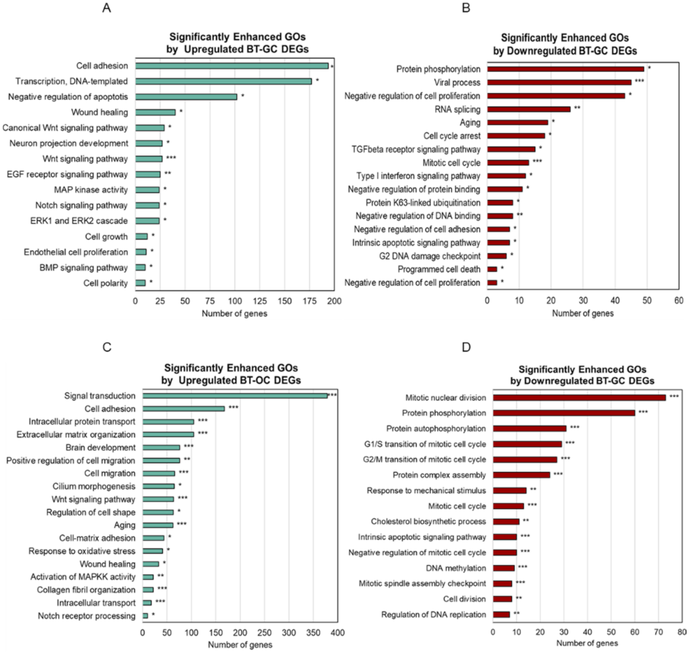 Biomedicines 10 01186 g002