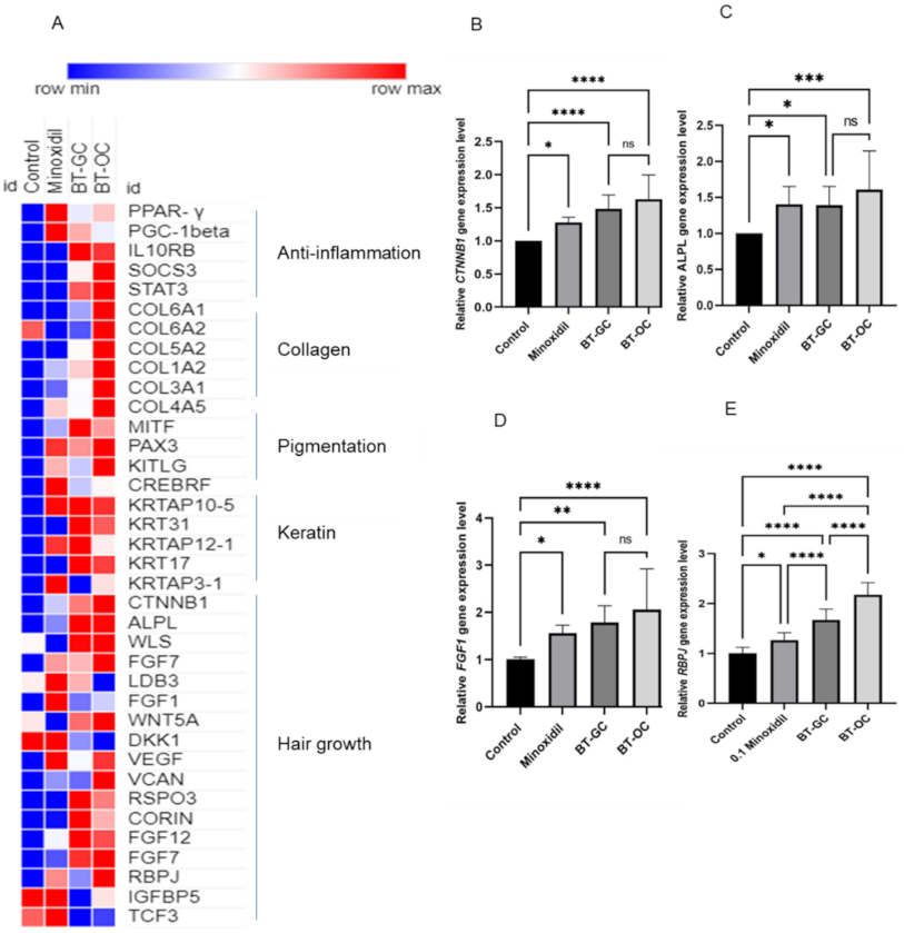 Biomedicines 10 01186 g004