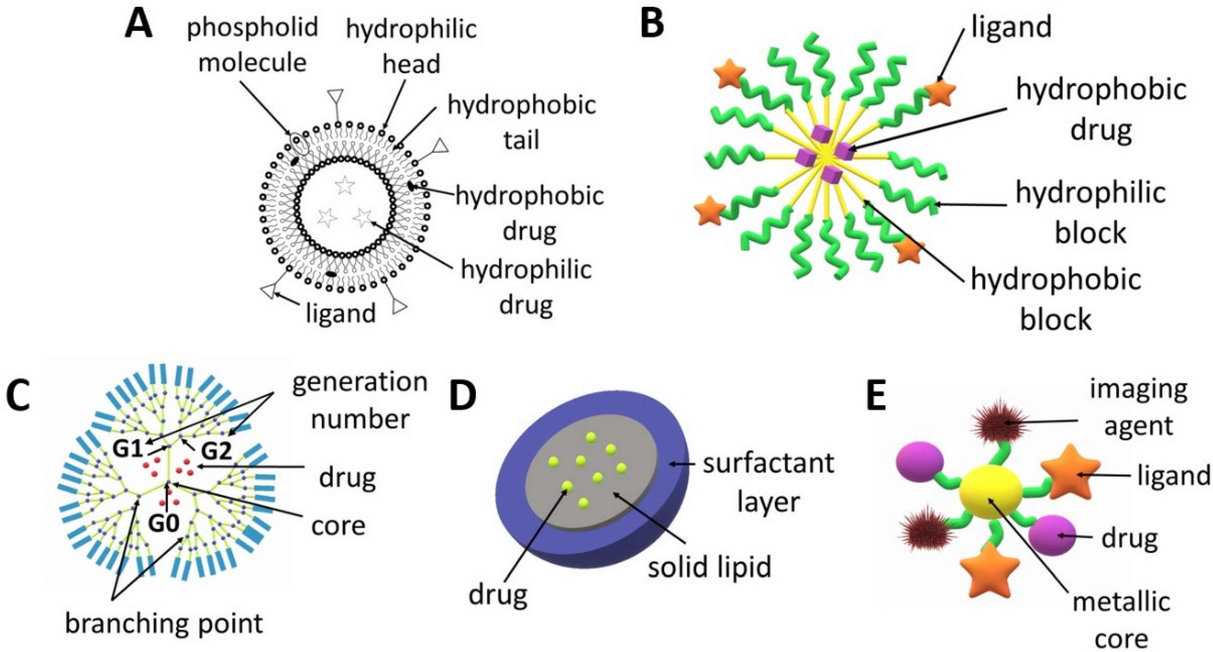Biomedicines 10 01187 g002