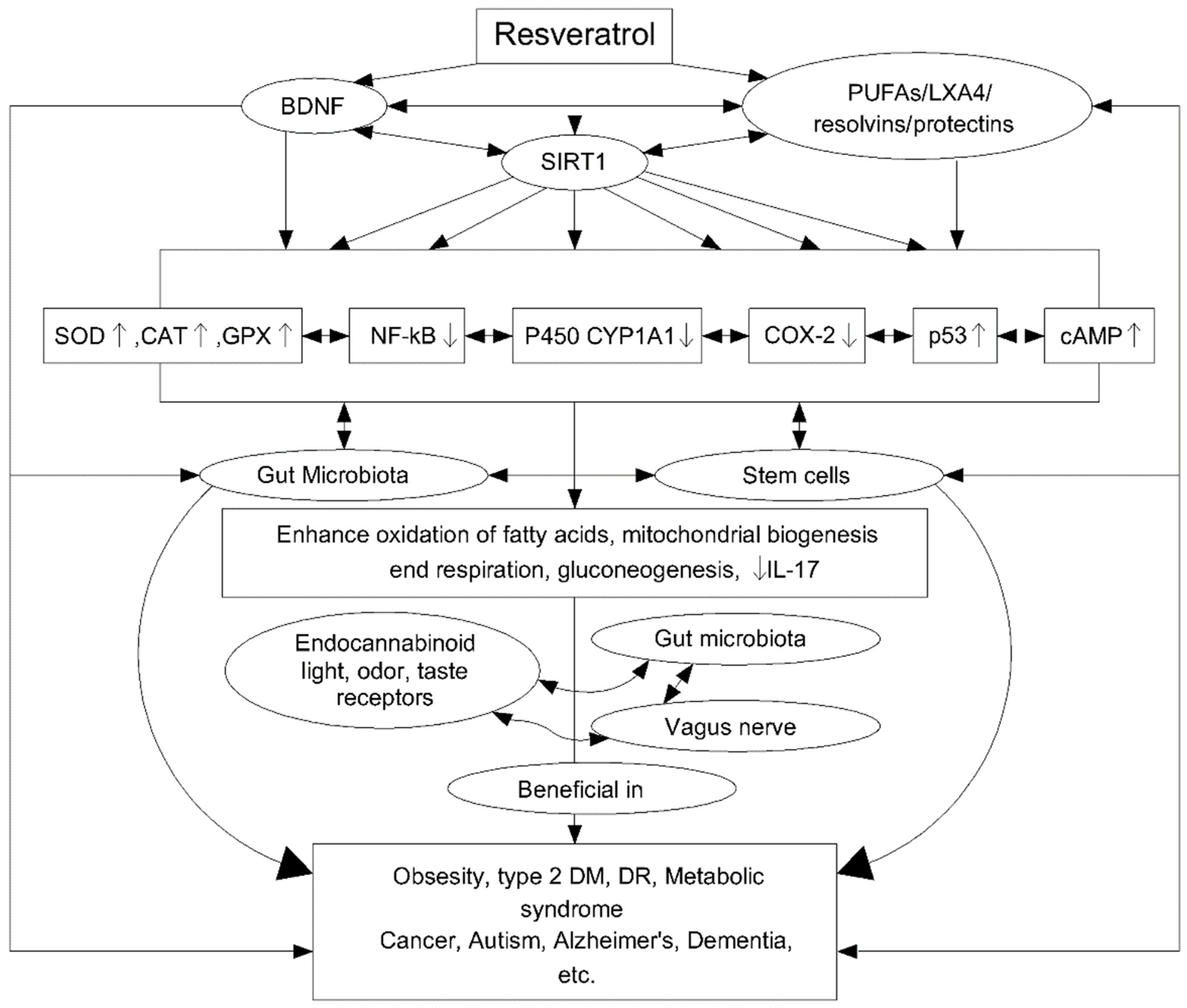 Biomedicines 10 01187 g007