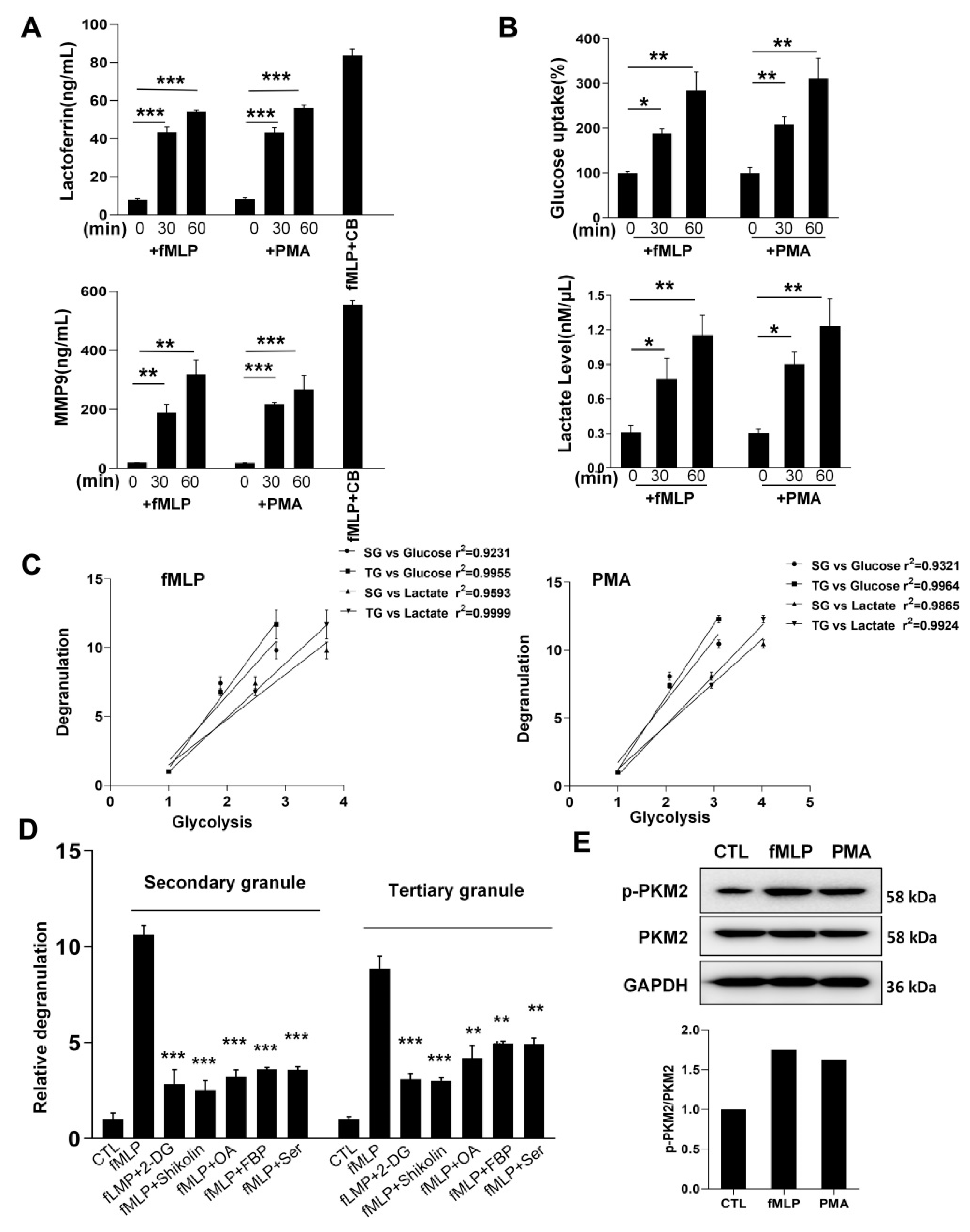Biomedicines 10 01193 g001
