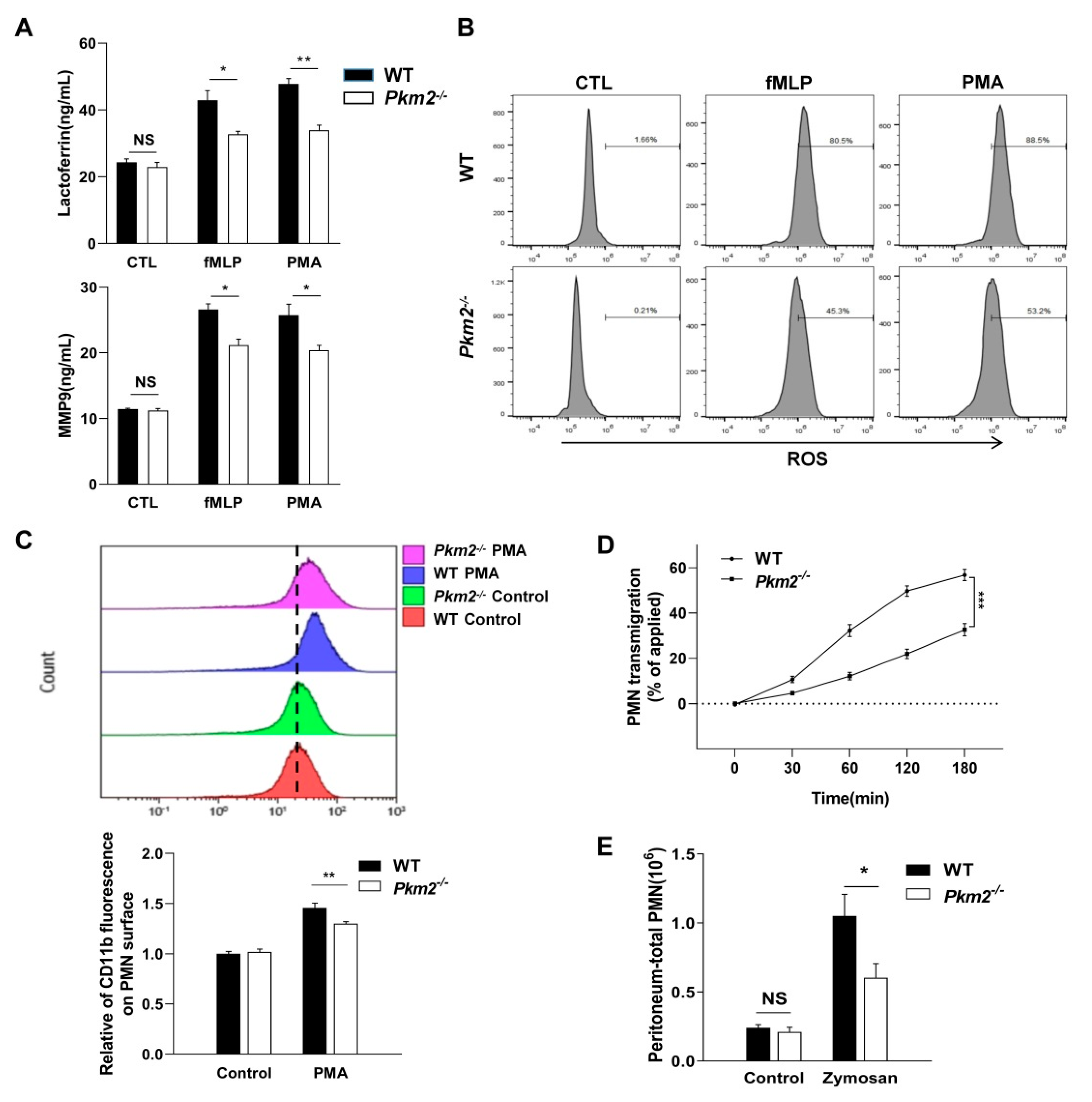 Biomedicines 10 01193 g003