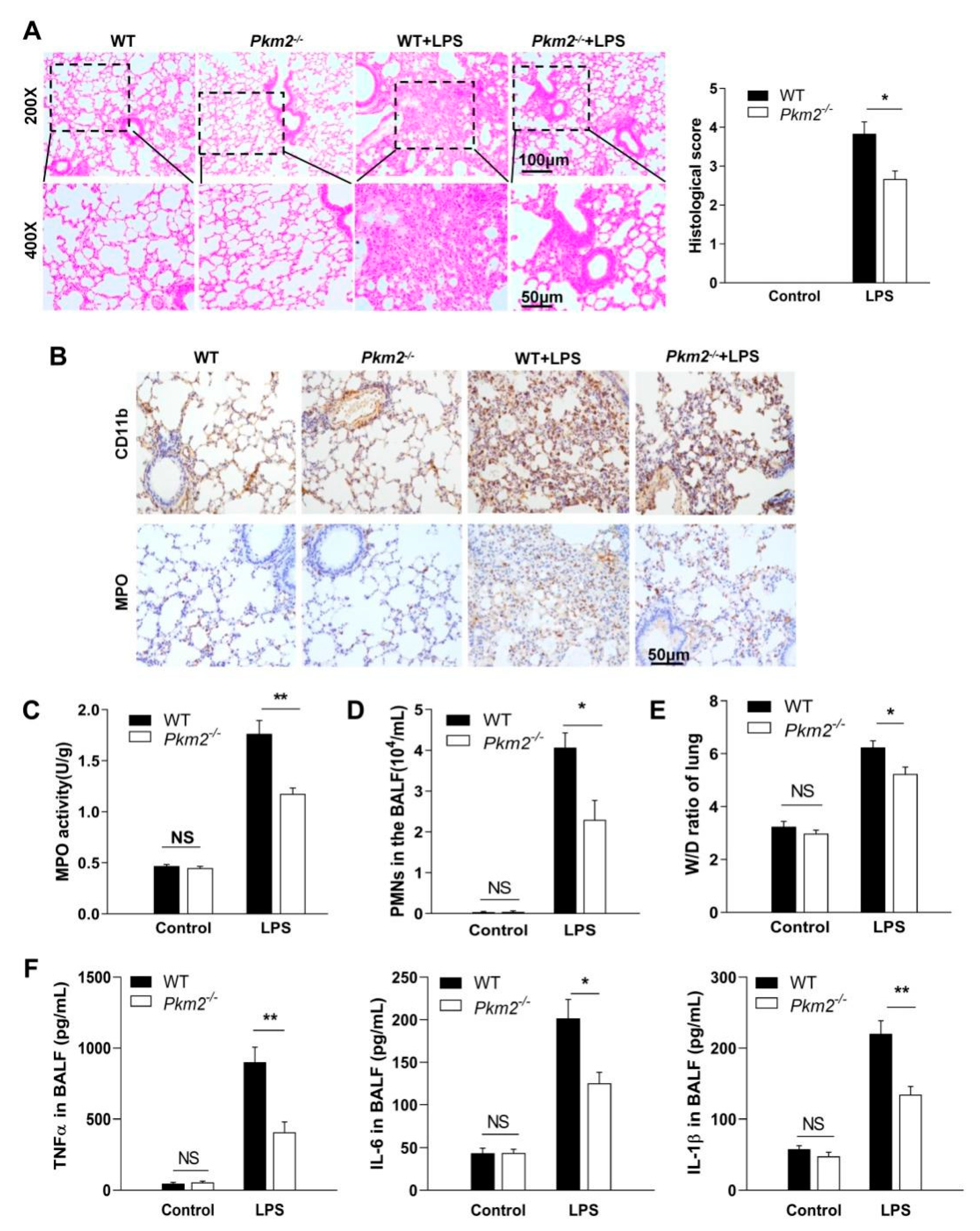 Biomedicines 10 01193 g004