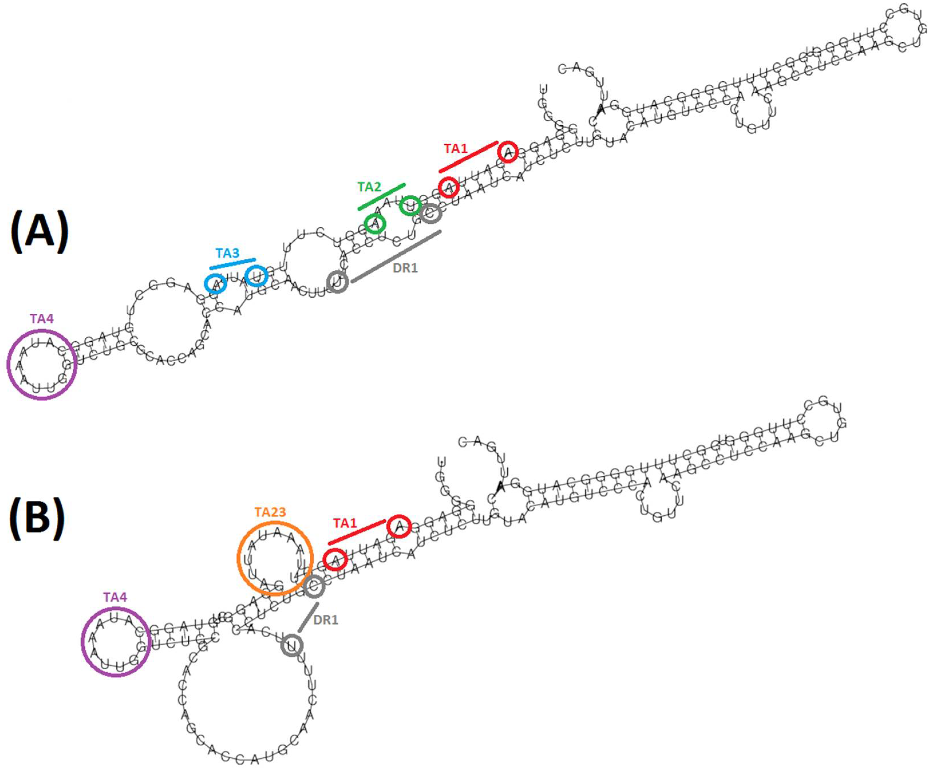 Biomedicines 10 01194 g003