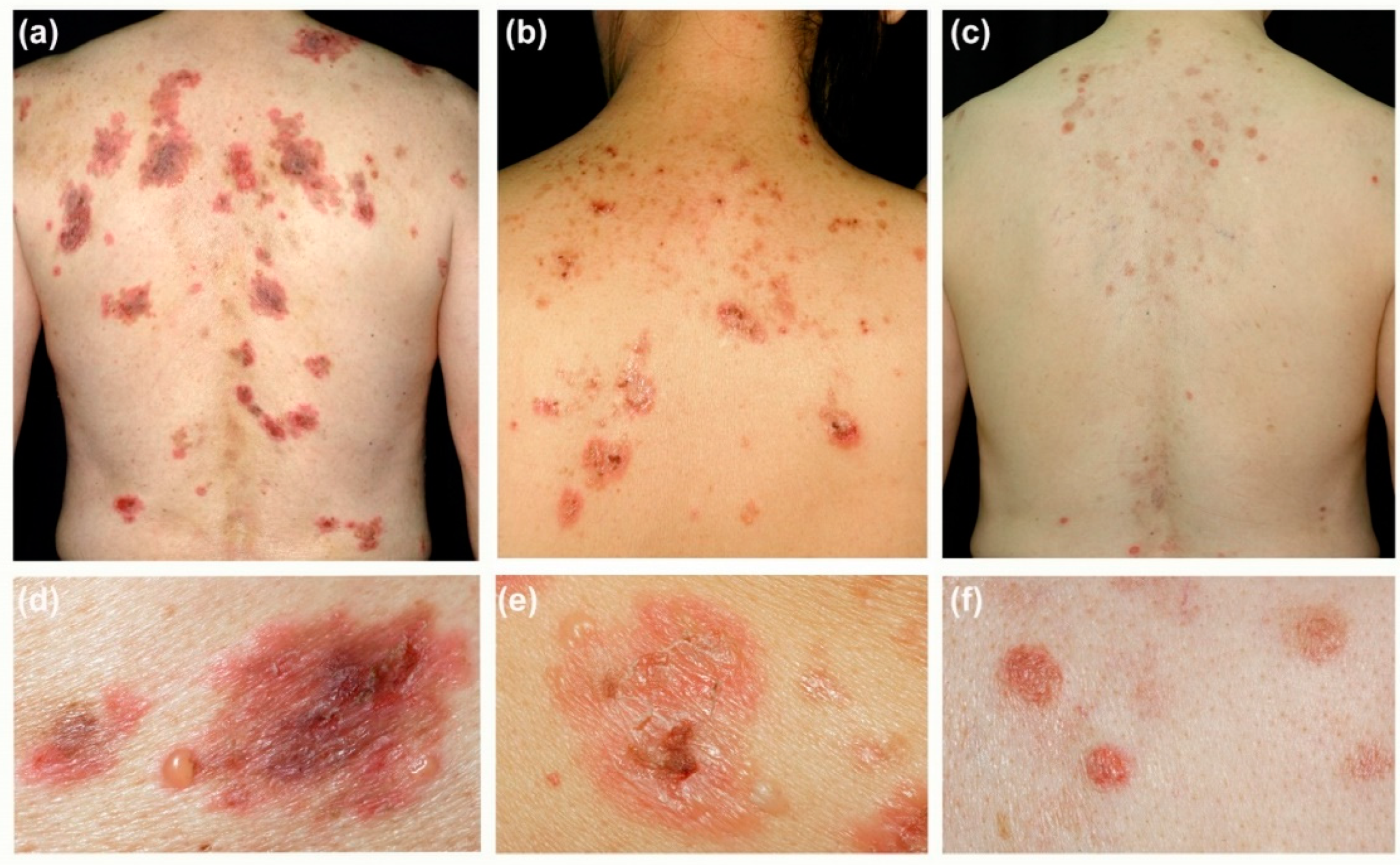 Biomedicines 10 01197 g001