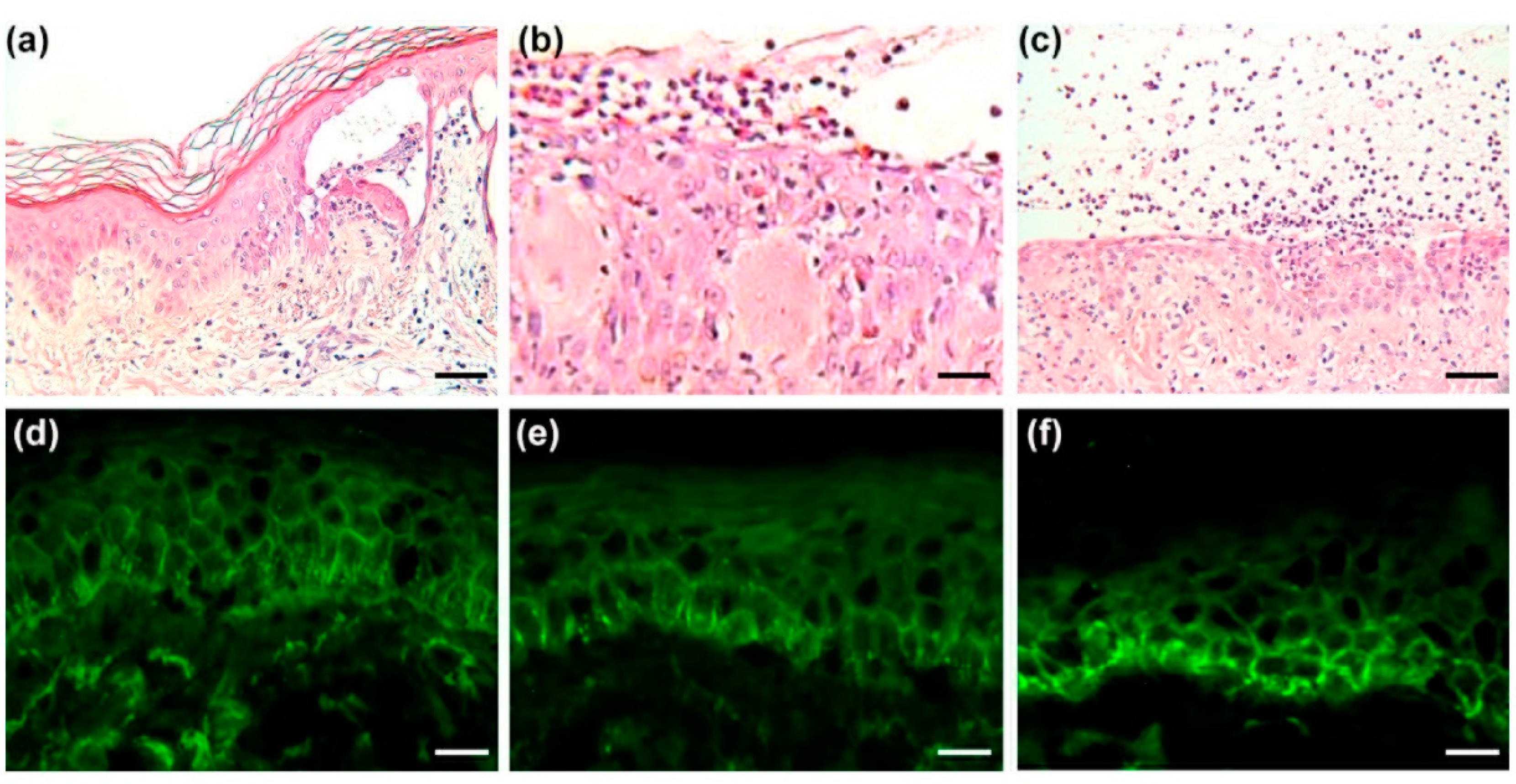 Biomedicines 10 01197 g002