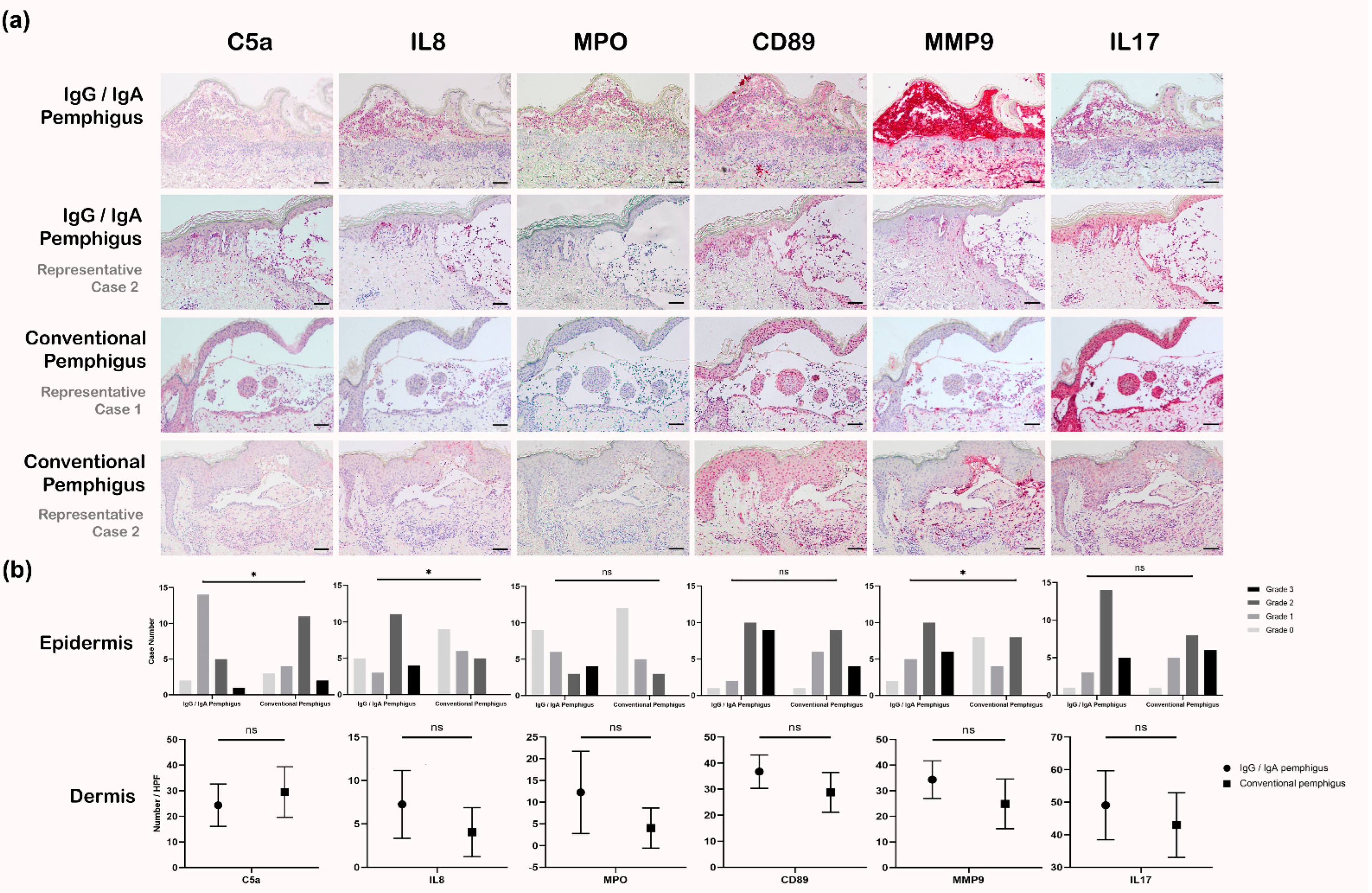Biomedicines 10 01197 g003