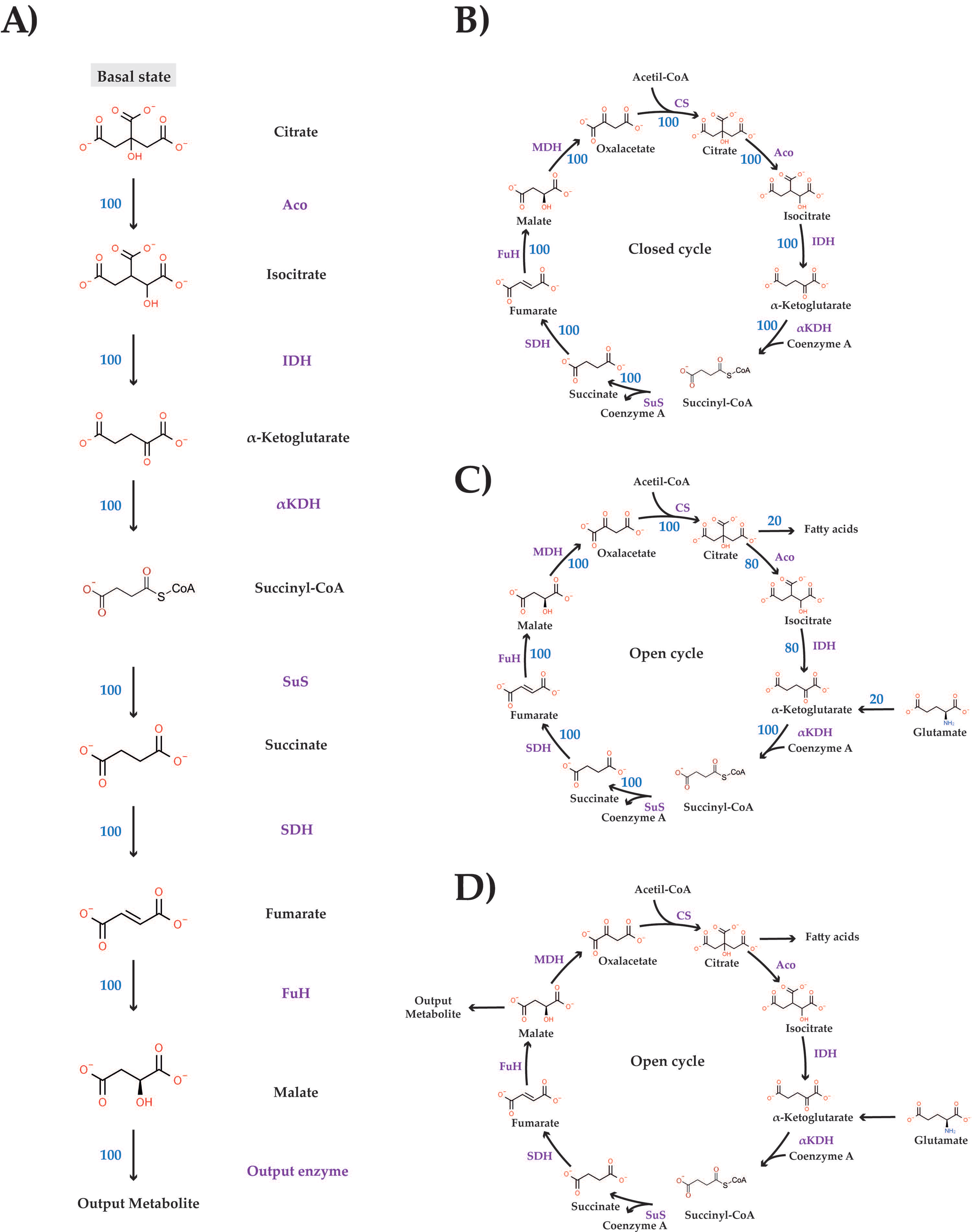 Biomedicines 10 01199 g001