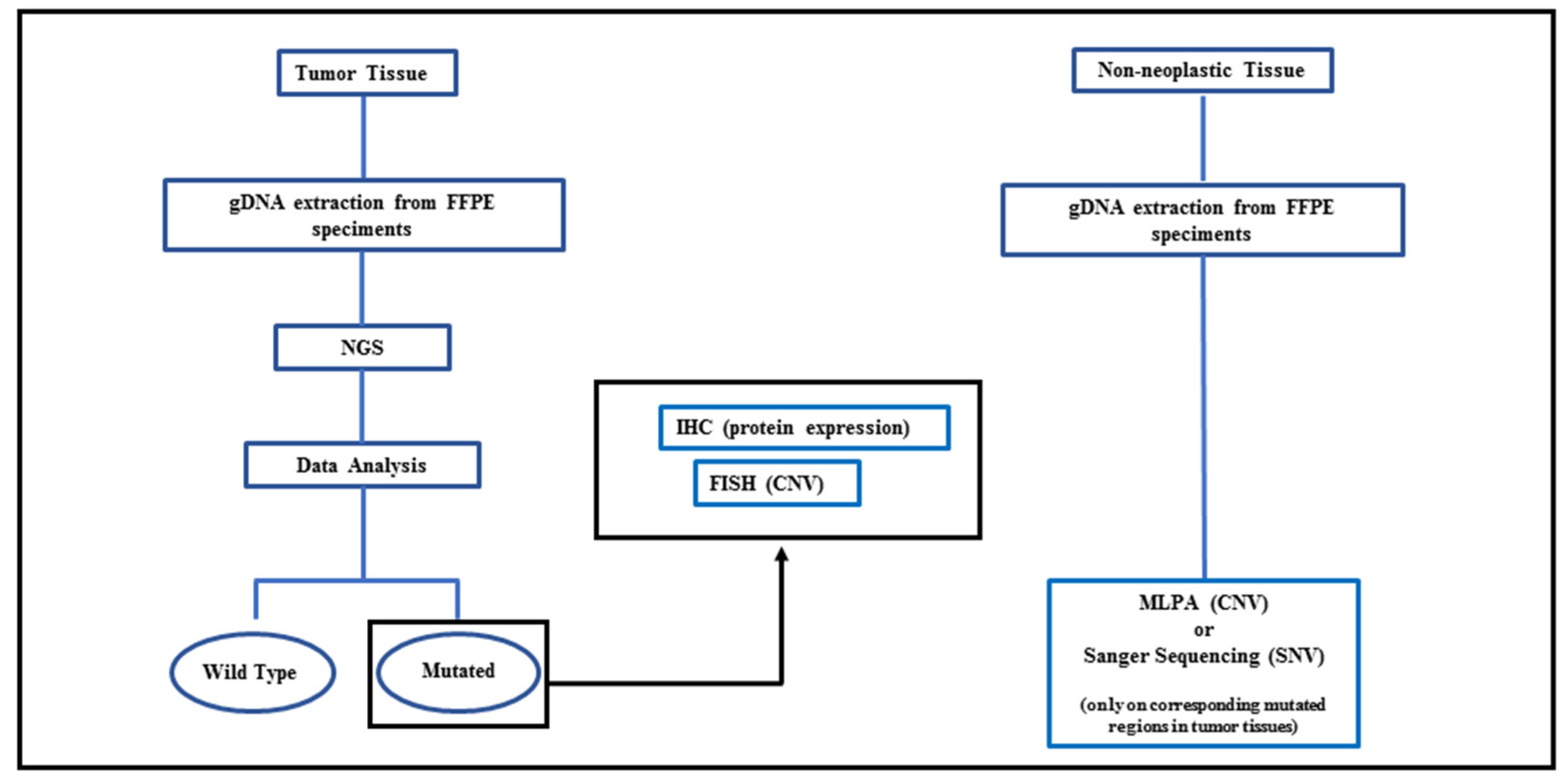Biomedicines 10 01208 g001