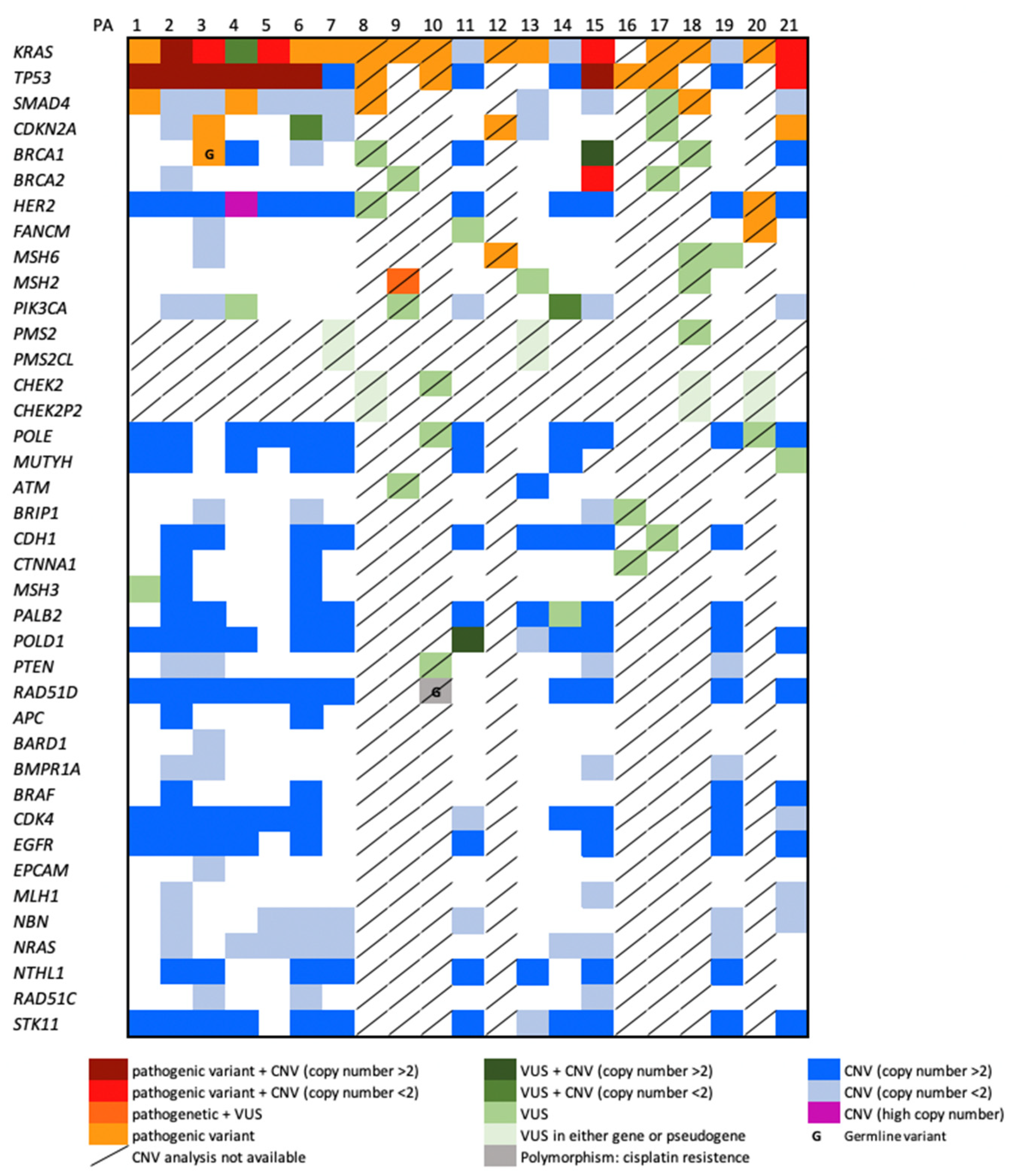 Biomedicines 10 01208 g002