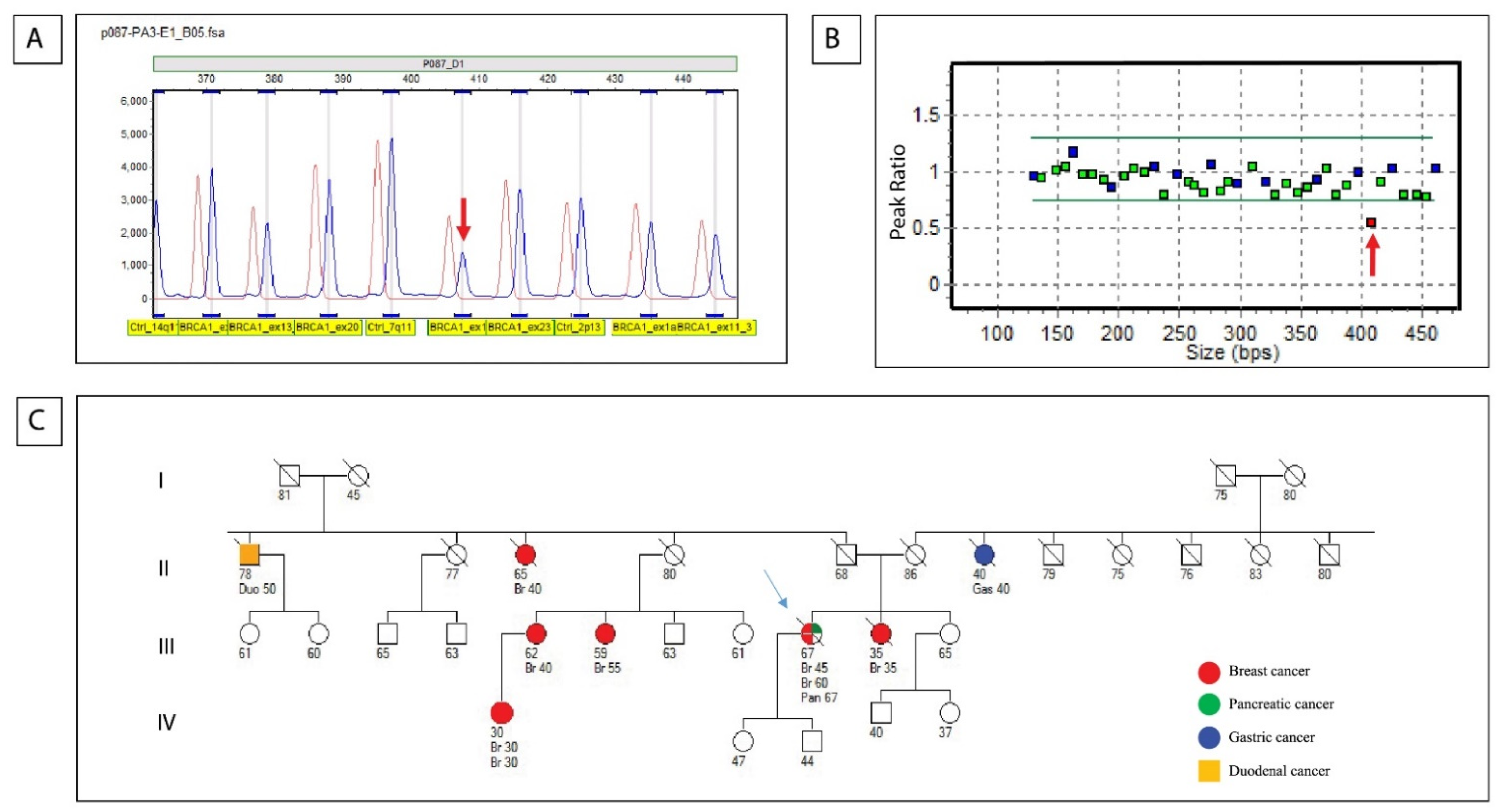 Biomedicines 10 01208 g004