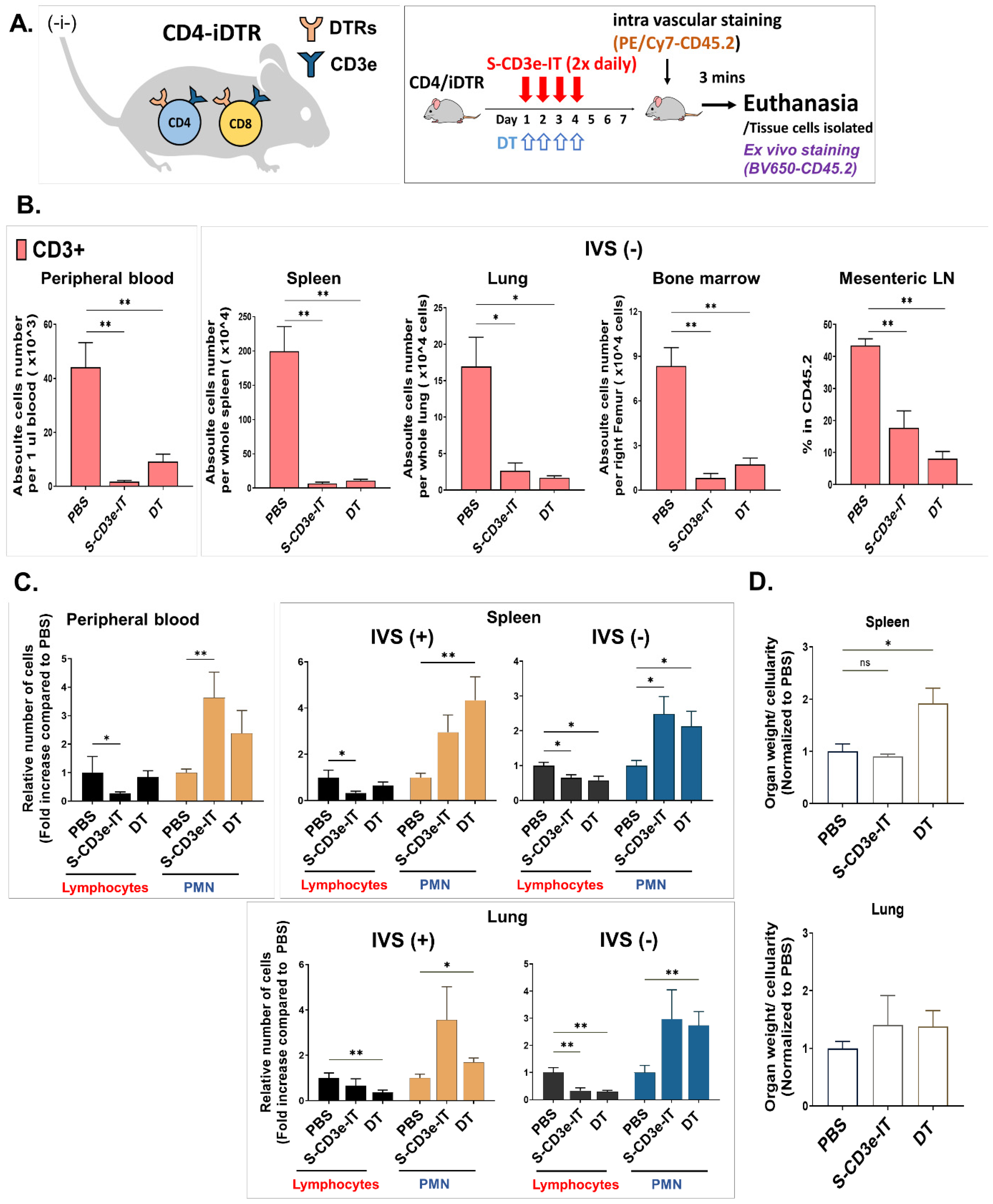 Biomedicines 10 01221 g006