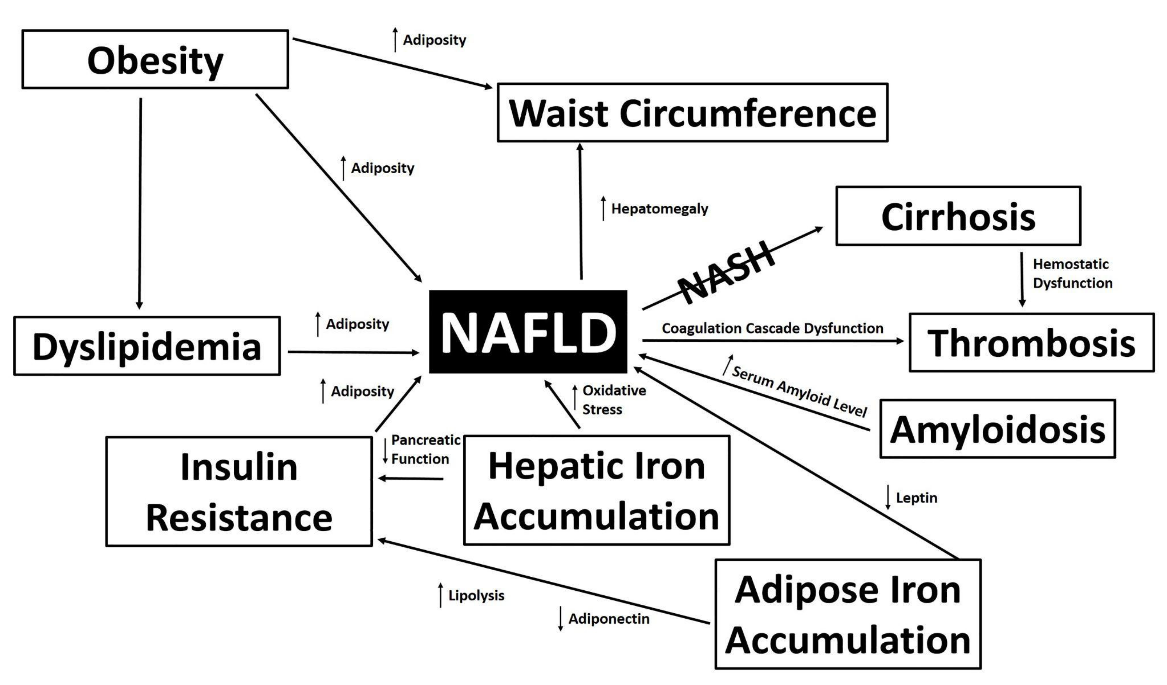 Biomedicines 10 01225 g001
