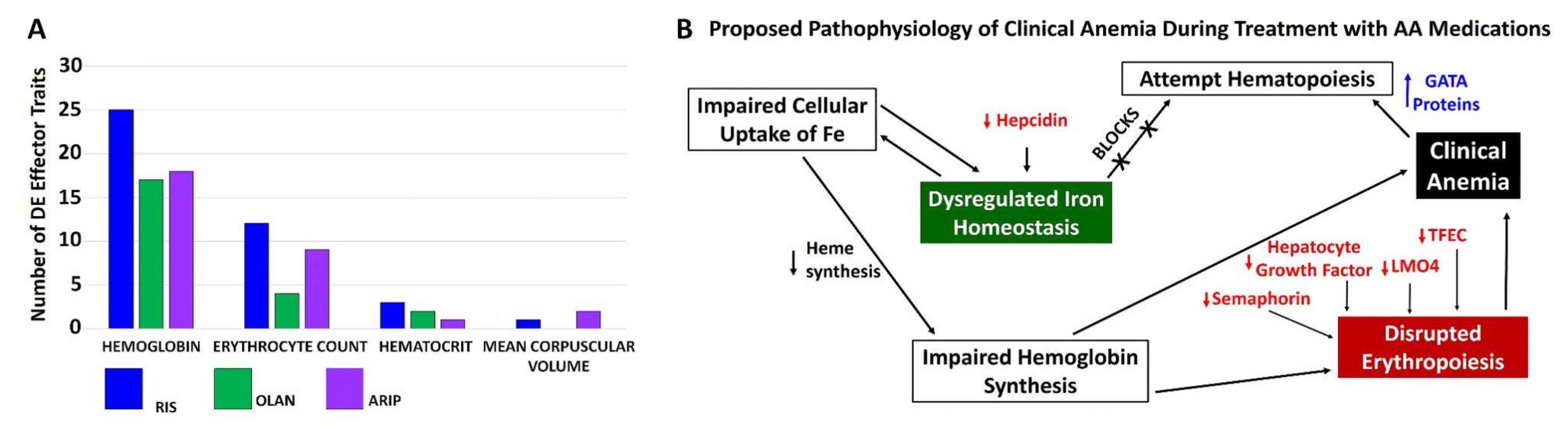 Biomedicines 10 01225 g004