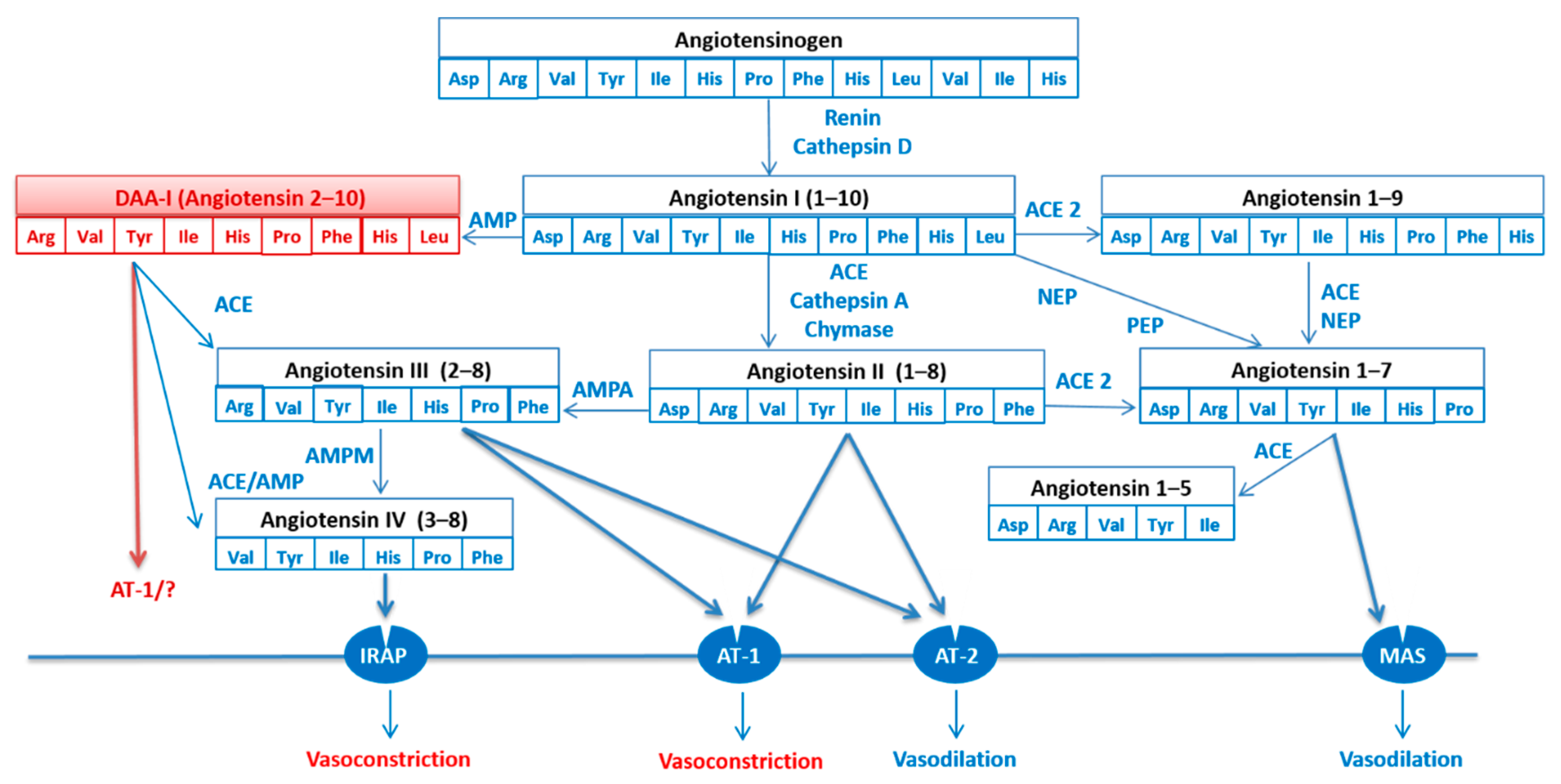 Biomedicines 10 01230 g001