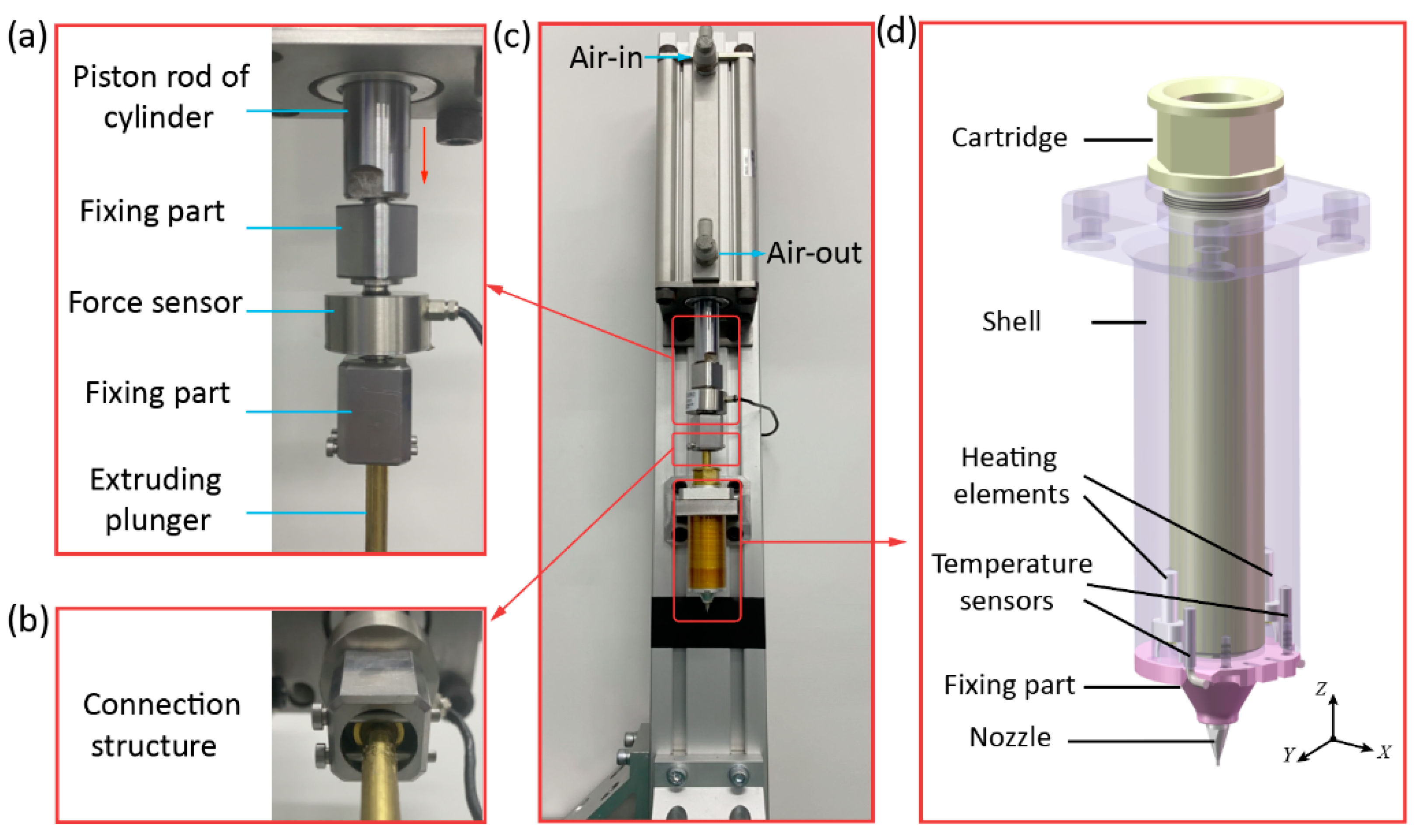Biomedicines 10 01233 g001