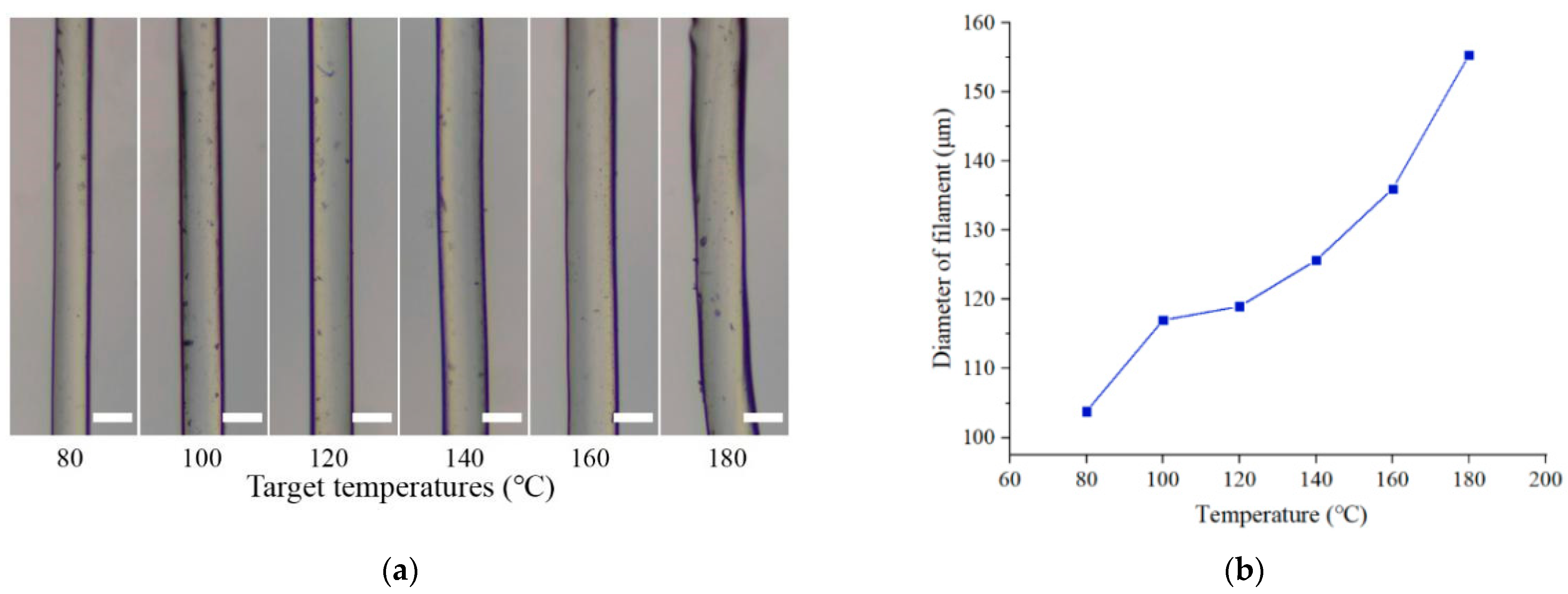Biomedicines 10 01233 g009