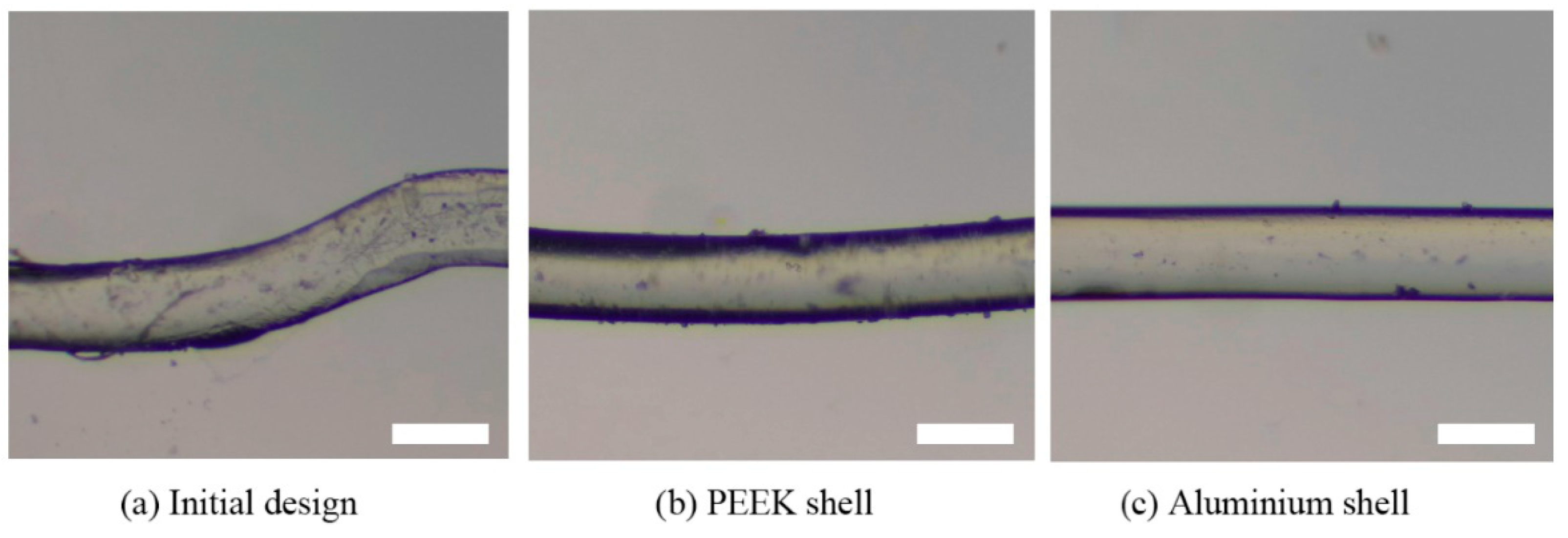 Biomedicines 10 01233 g010