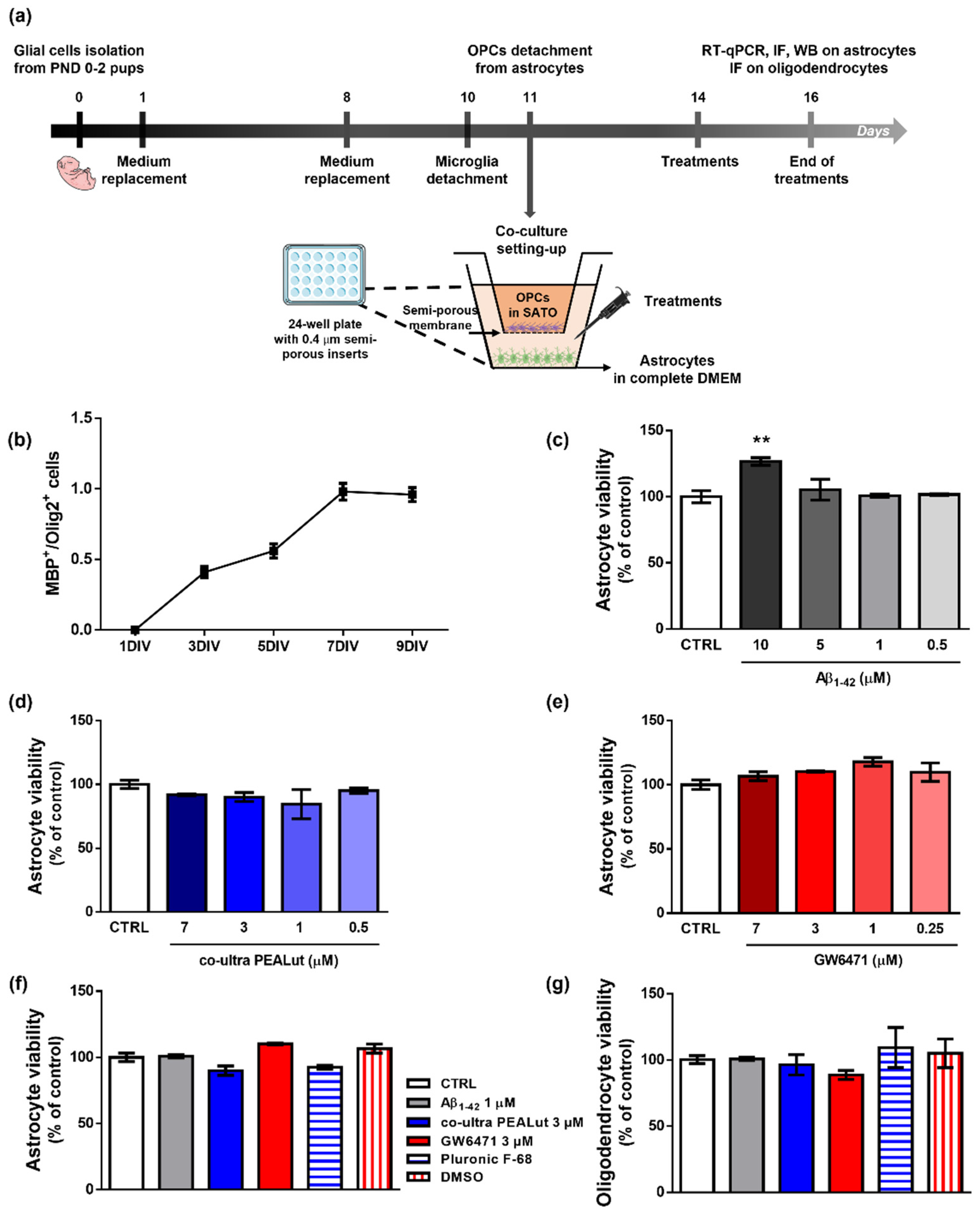 Biomedicines 10 01236 g001