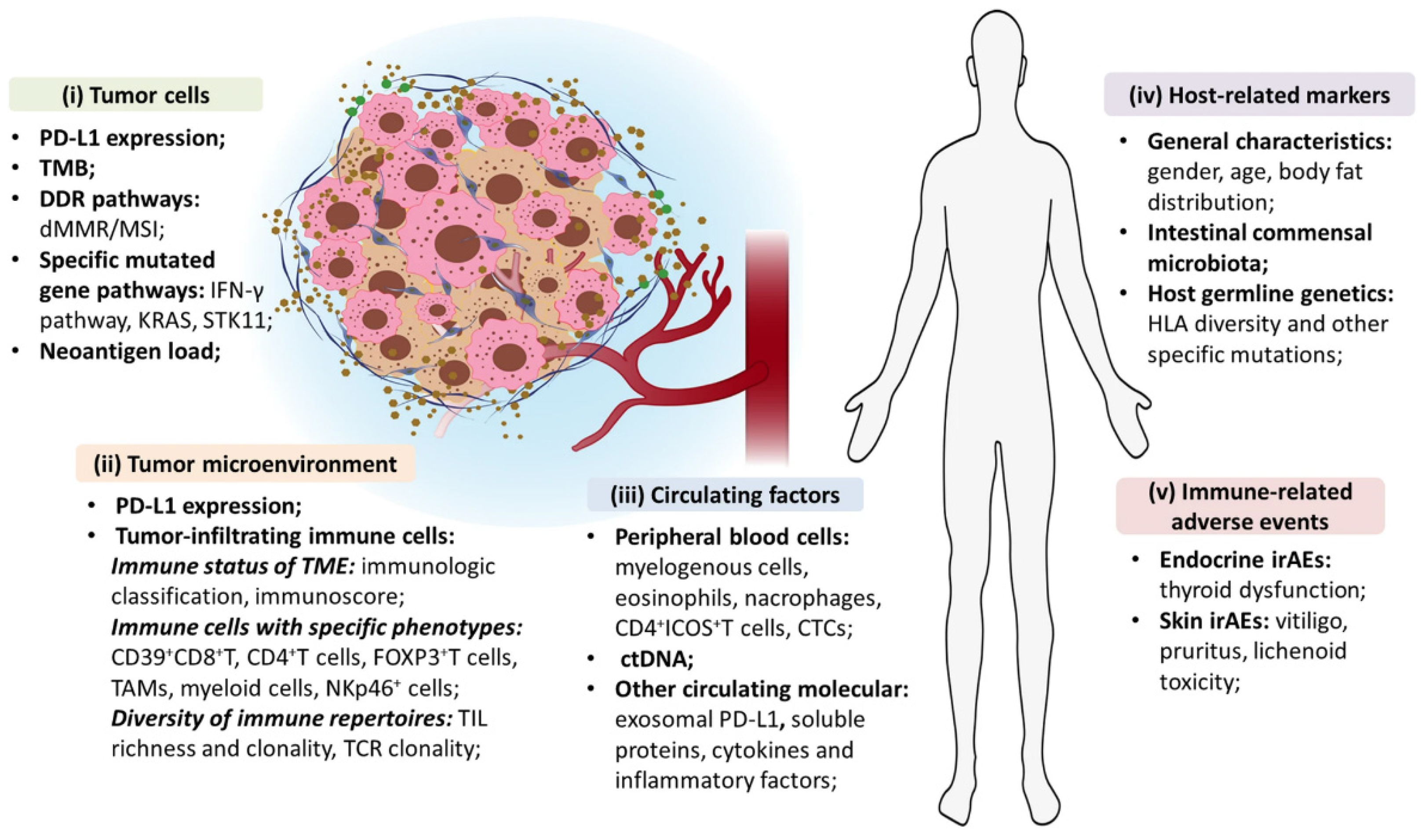 Biomedicines 10 01237 g003