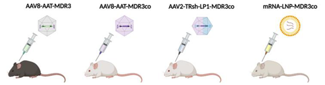 Biomedicines 10 01238 i001