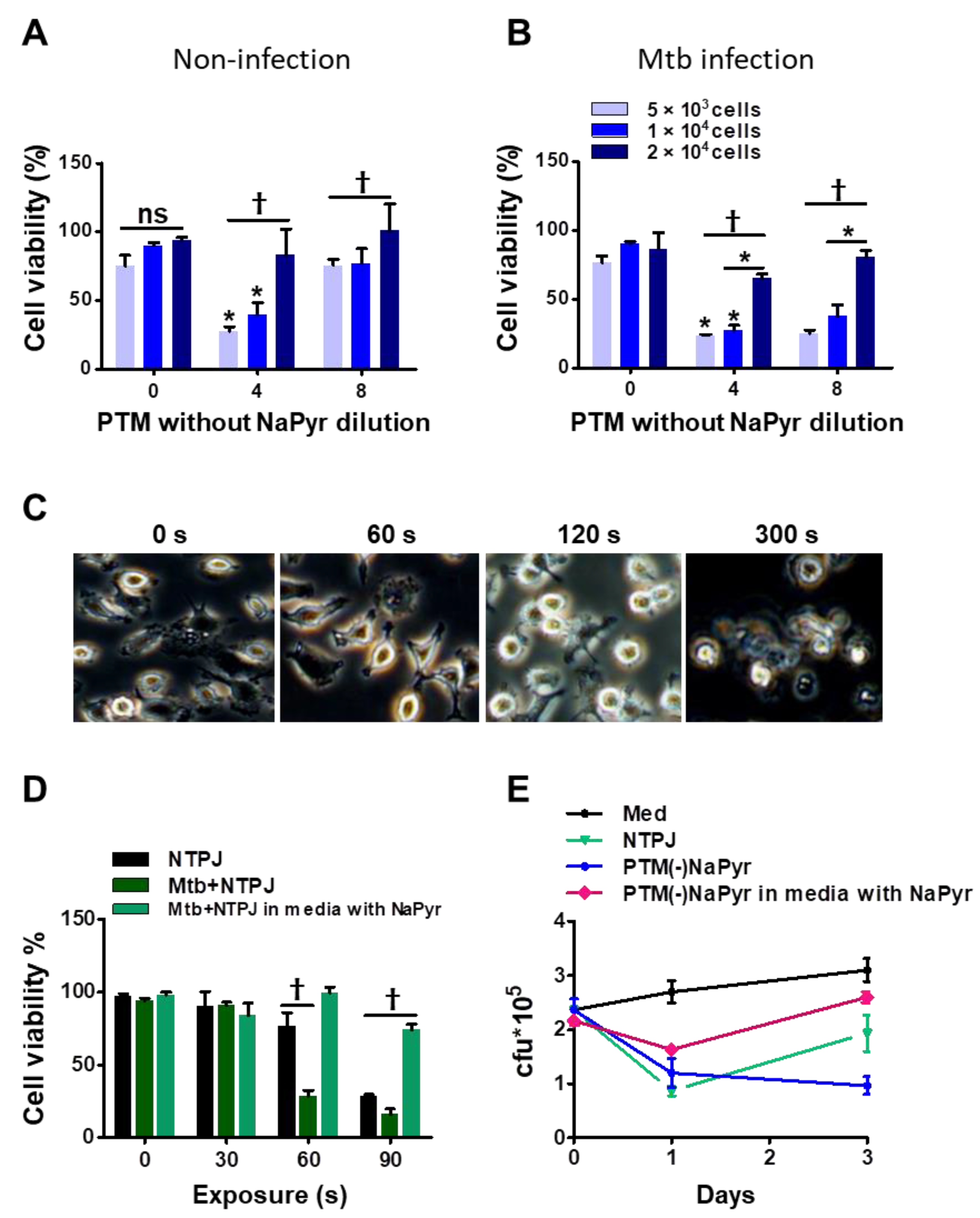 Biomedicines 10 01243 g005