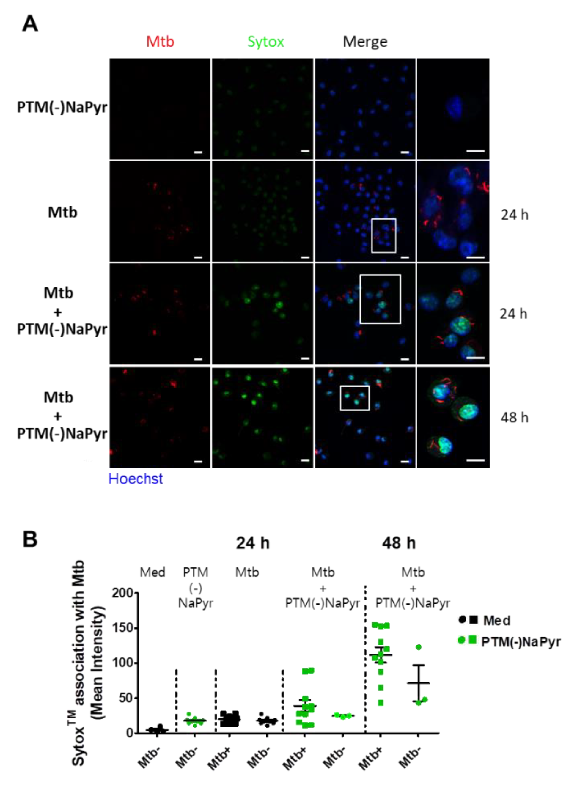 Biomedicines 10 01243 g007