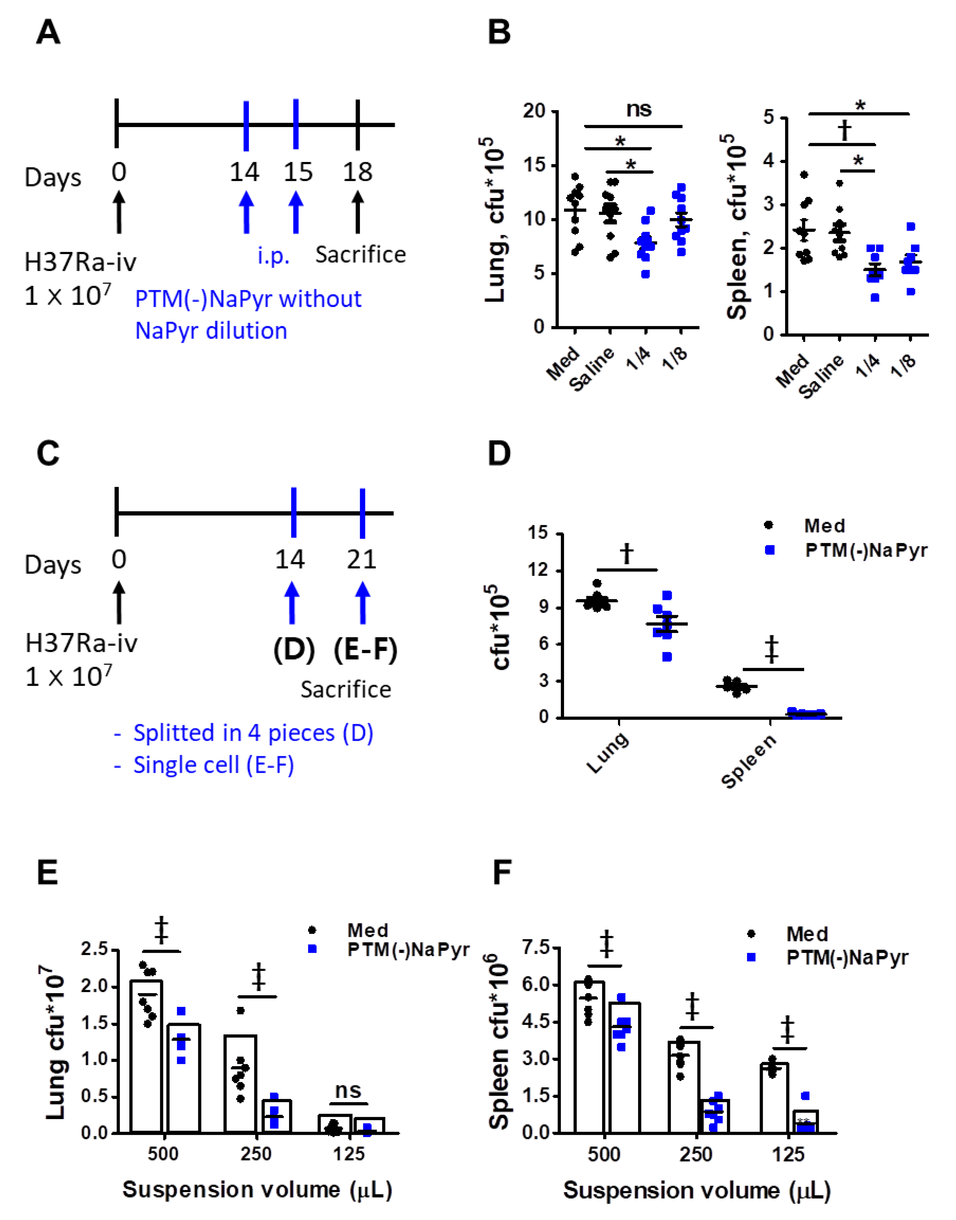 Biomedicines 10 01243 g009