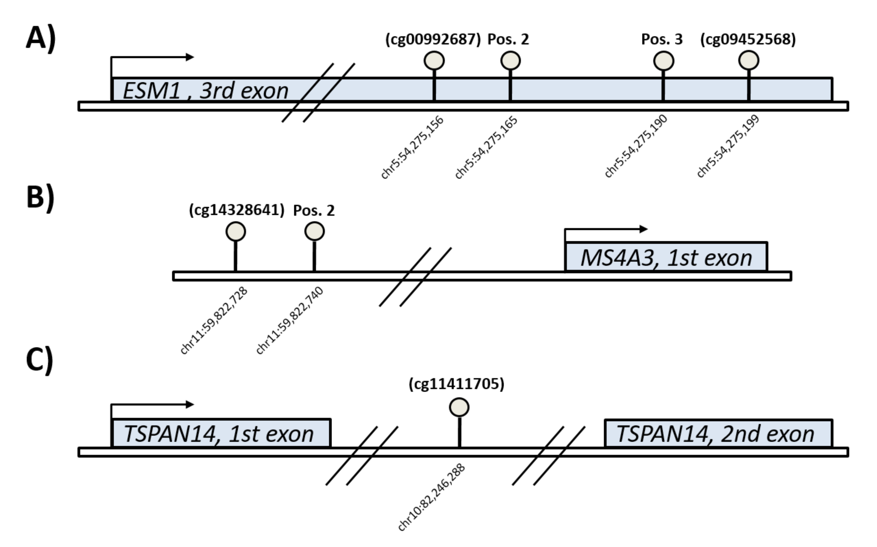 Biomedicines 10 01244 g002