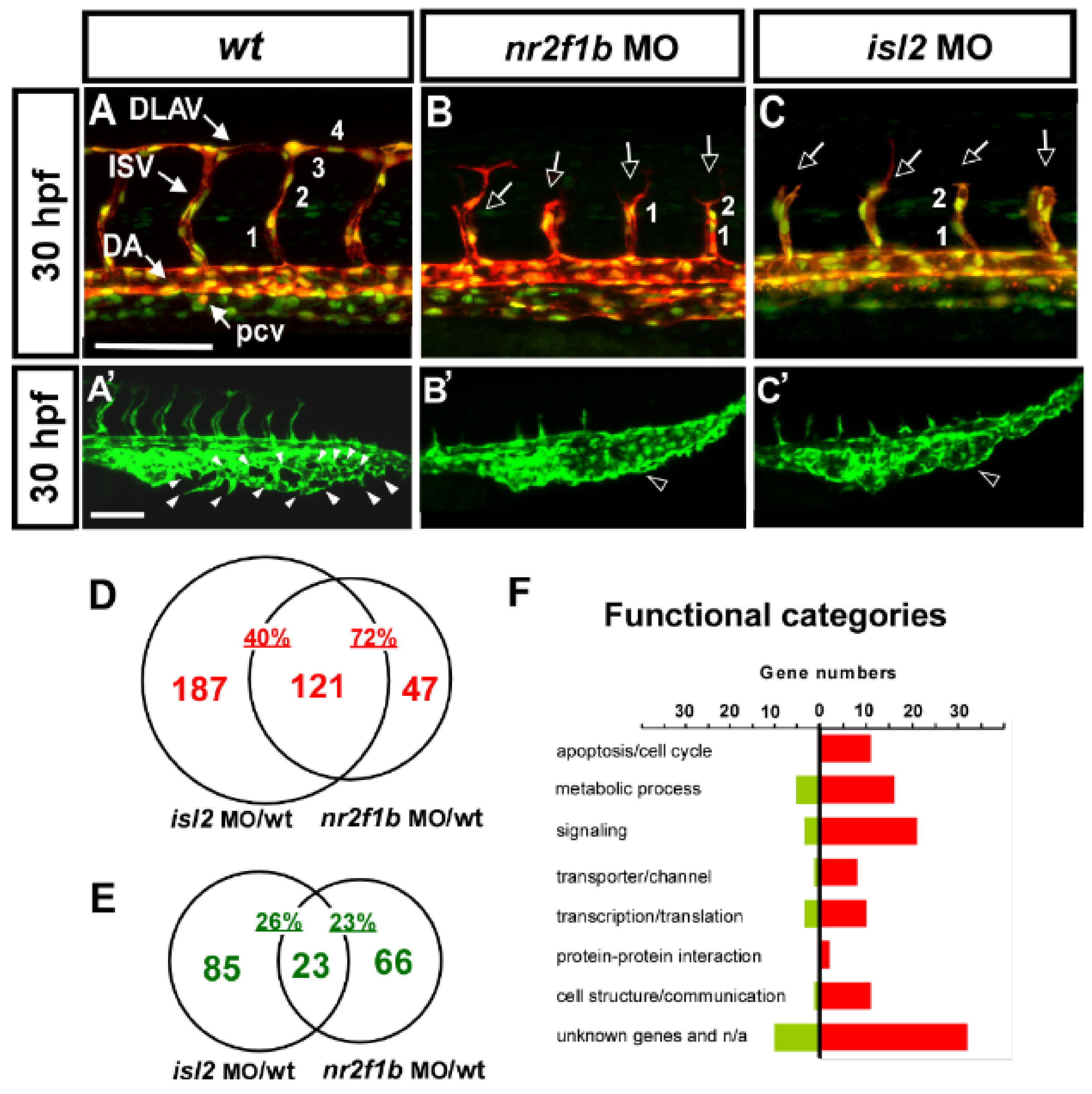 Biomedicines 10 01261 g001