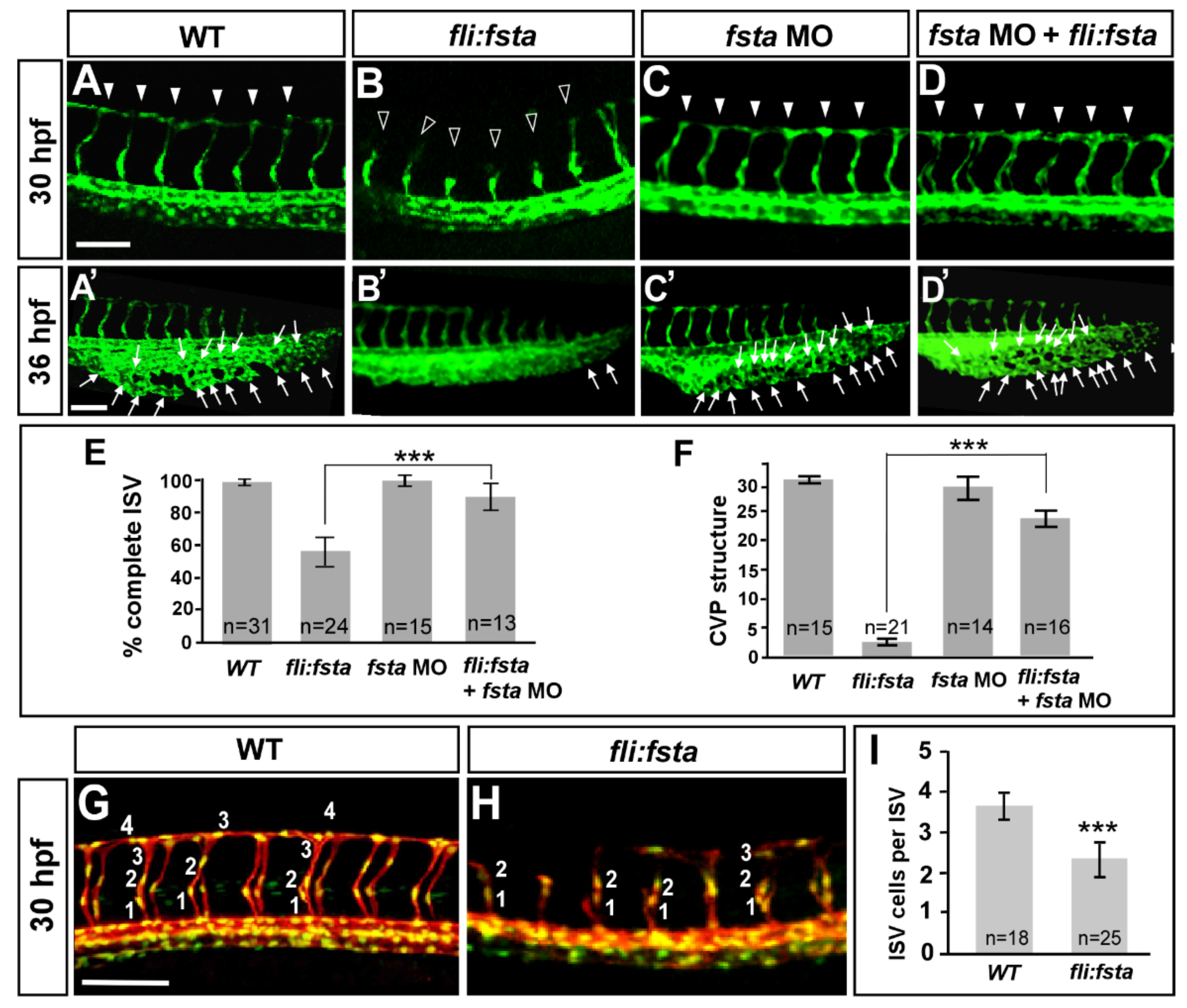 Biomedicines 10 01261 g004