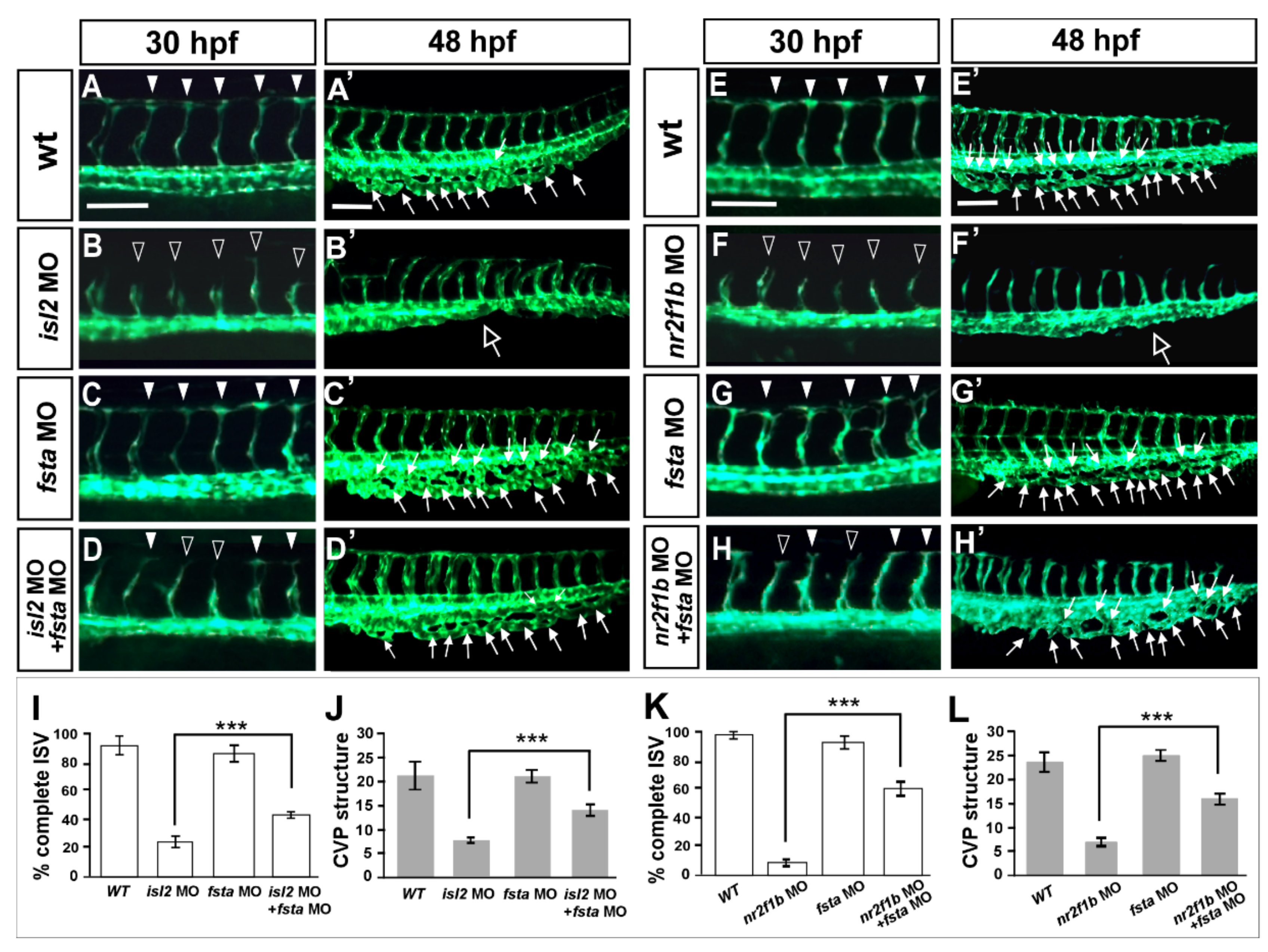 Biomedicines 10 01261 g006