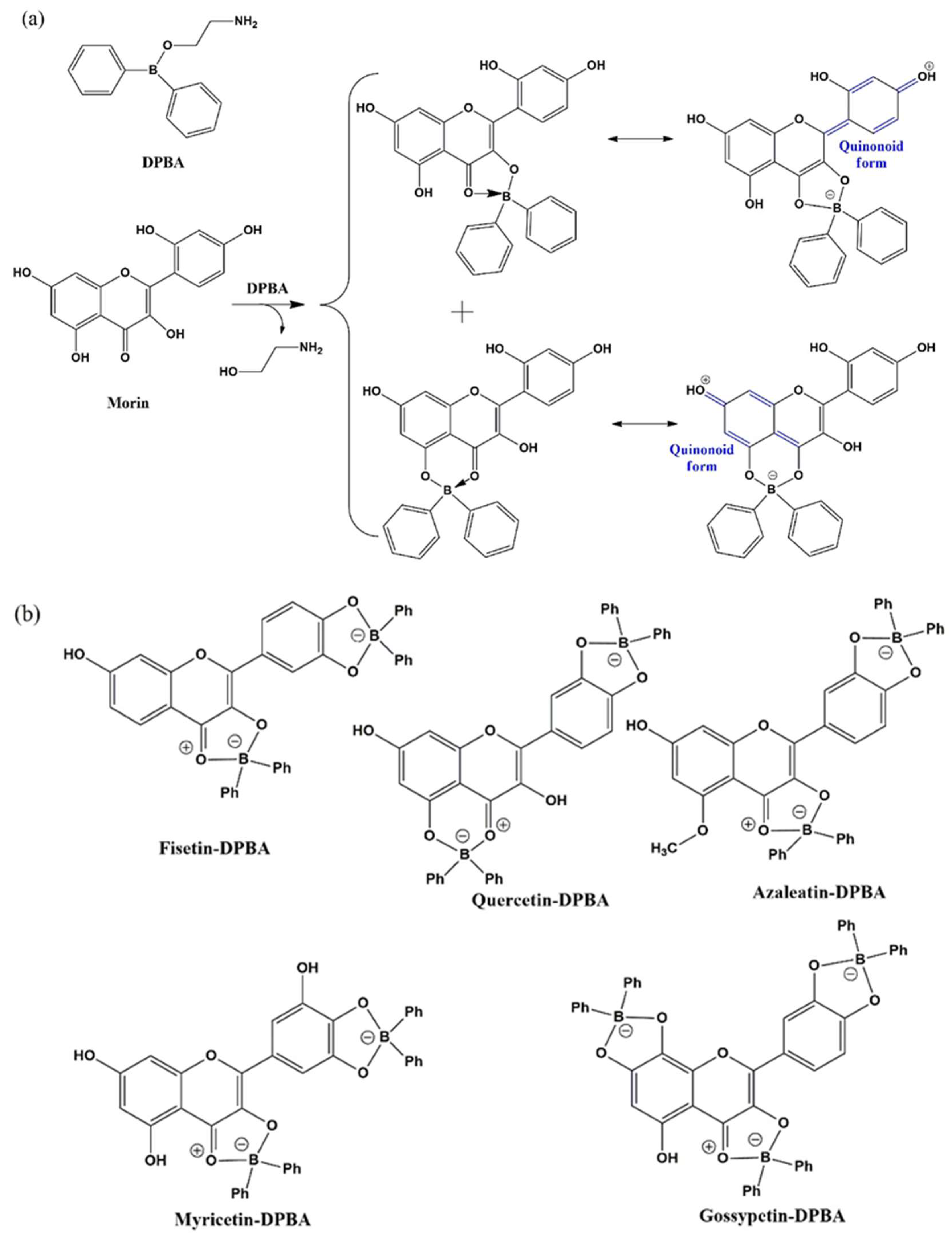 Biomedicines 10 01265 g004 Biomedicines 10 01265 g004