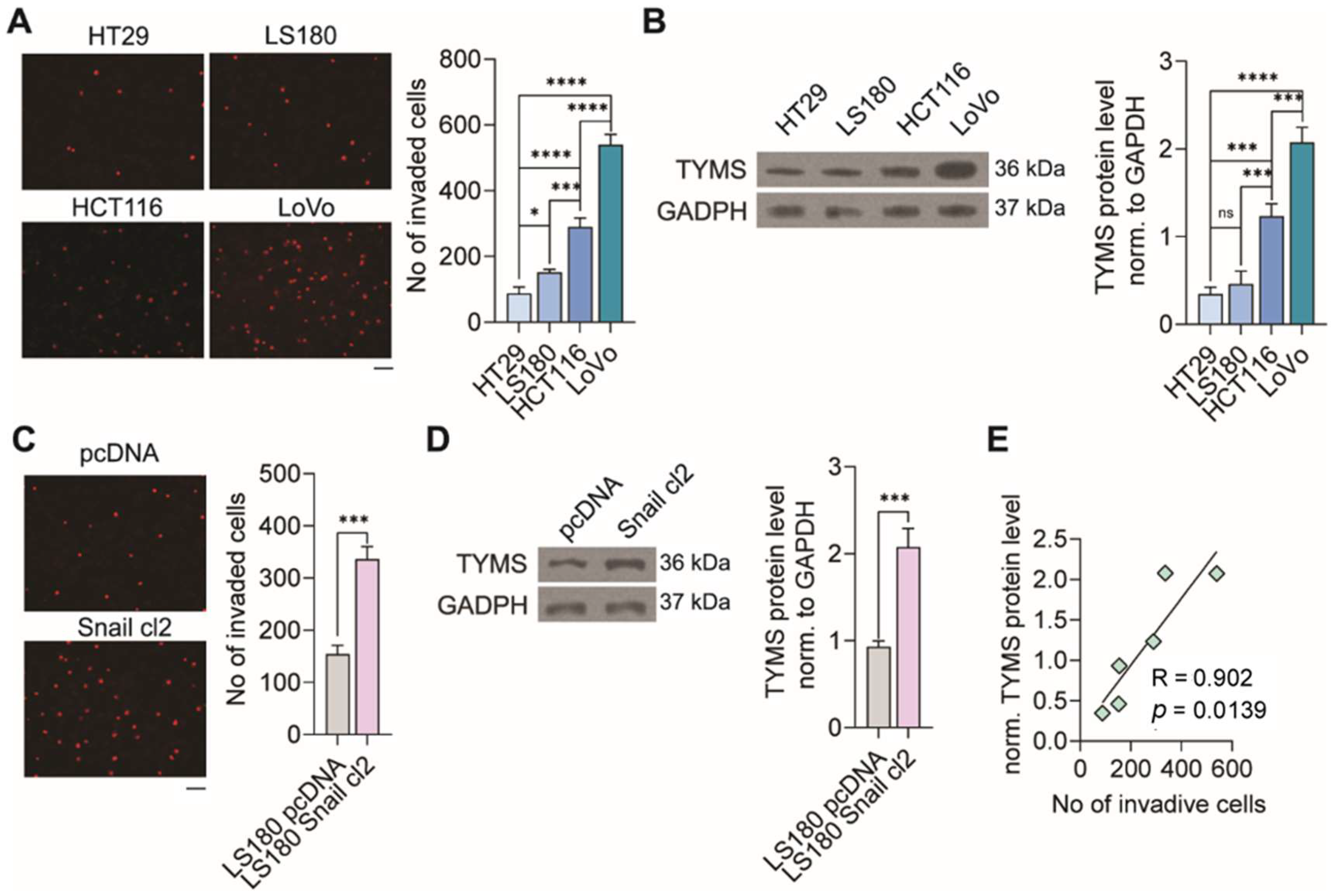 Biomedicines 10 01267 g001