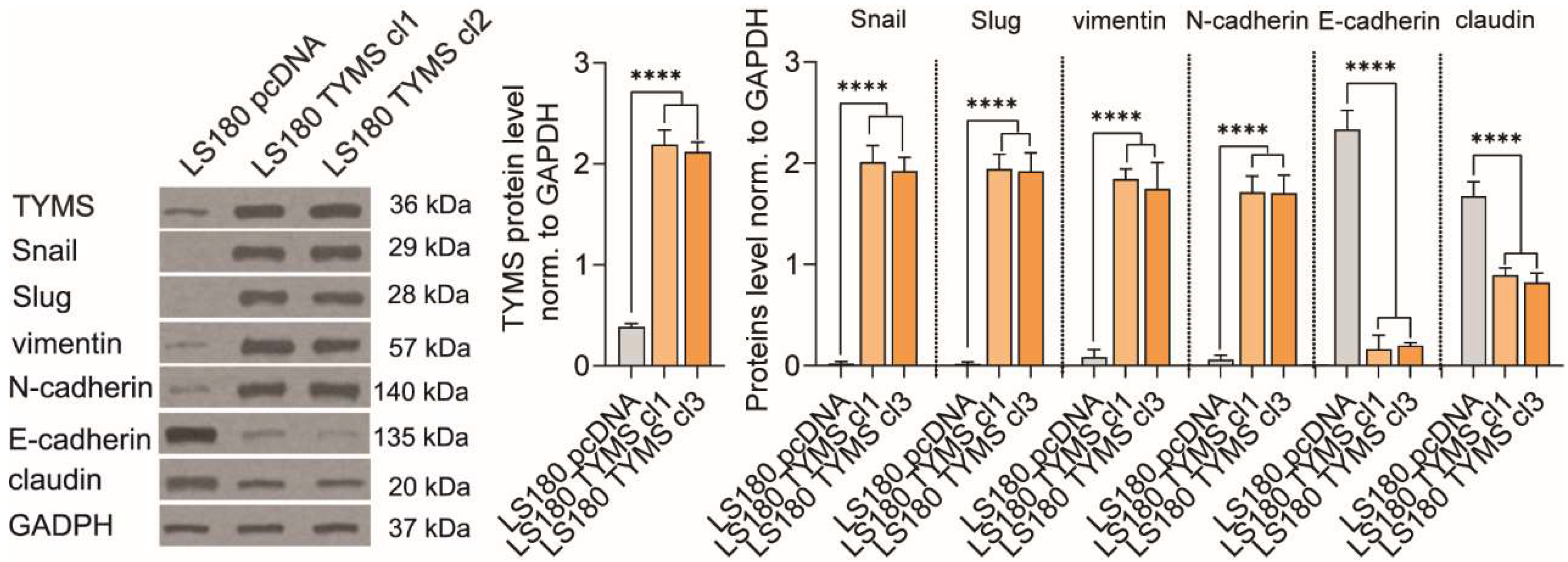 Biomedicines 10 01267 g002