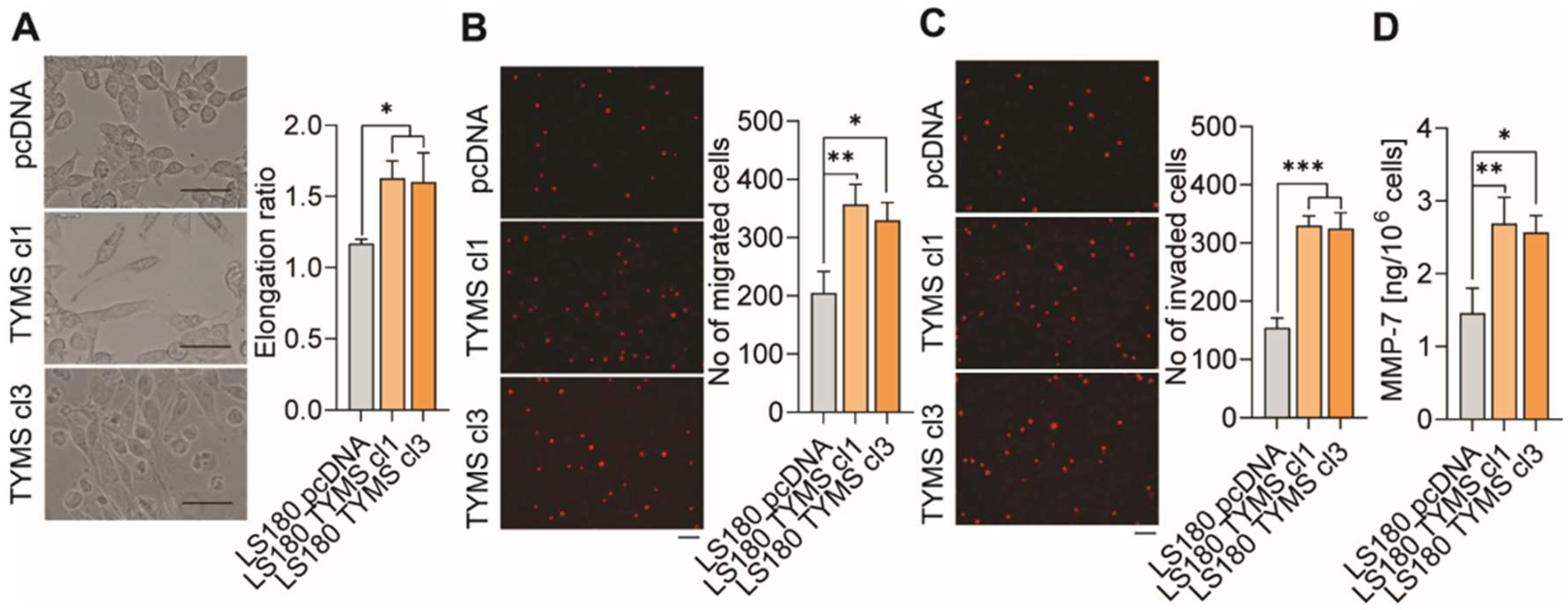 Biomedicines 10 01267 g003