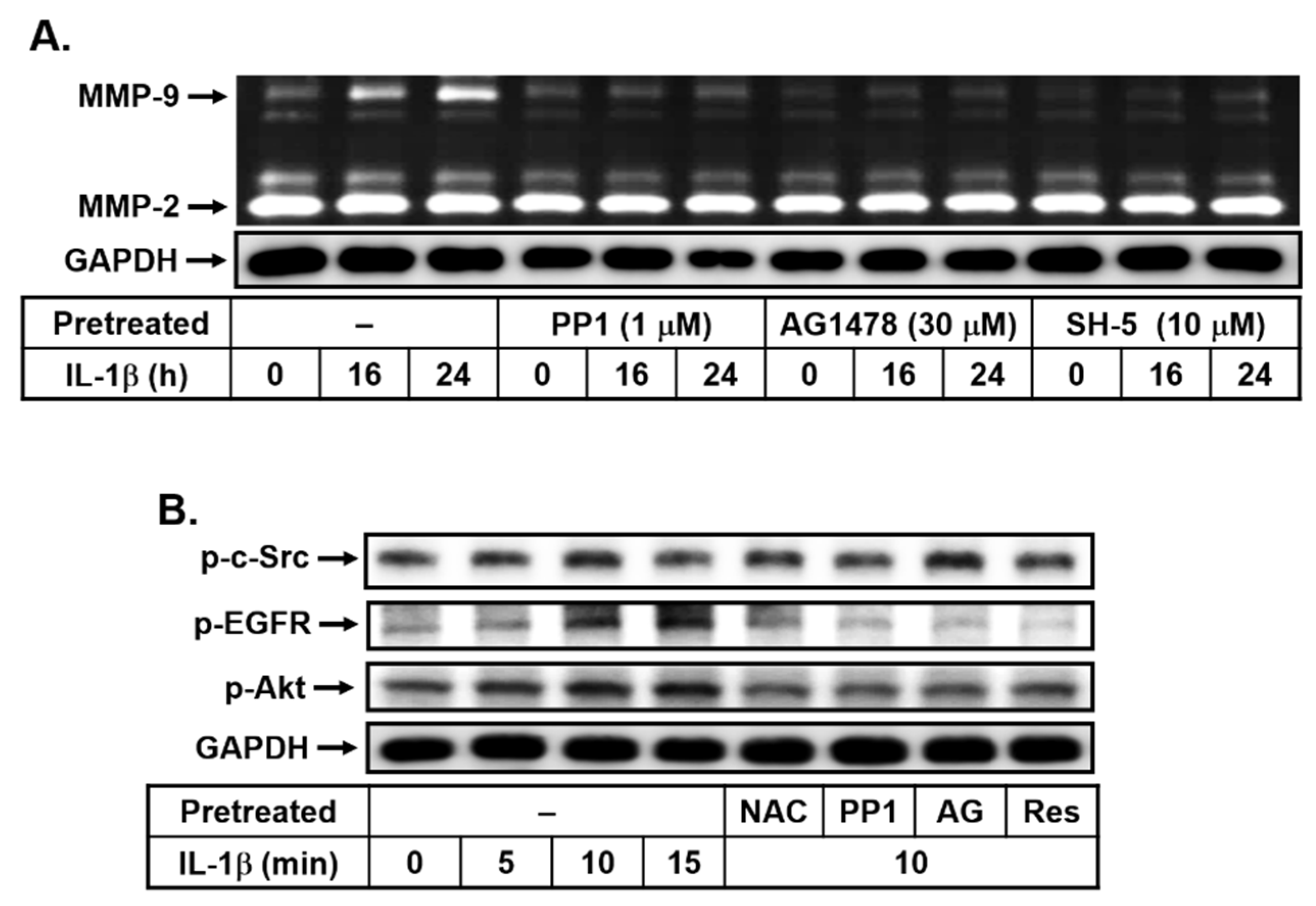 Biomedicines 10 01270 g003